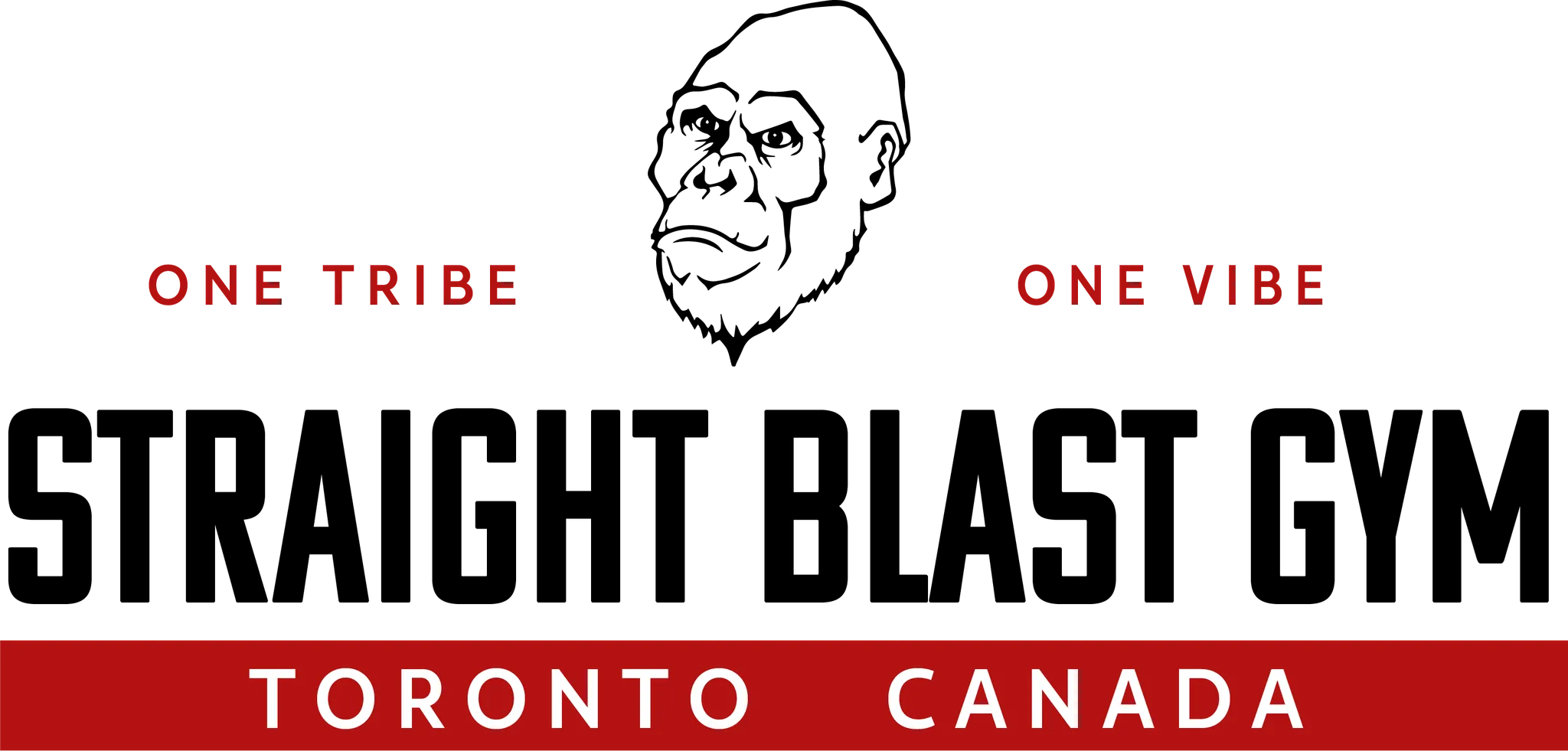 Straight Blast Gym Toronto/Brazilian JiuJitsu & MMA