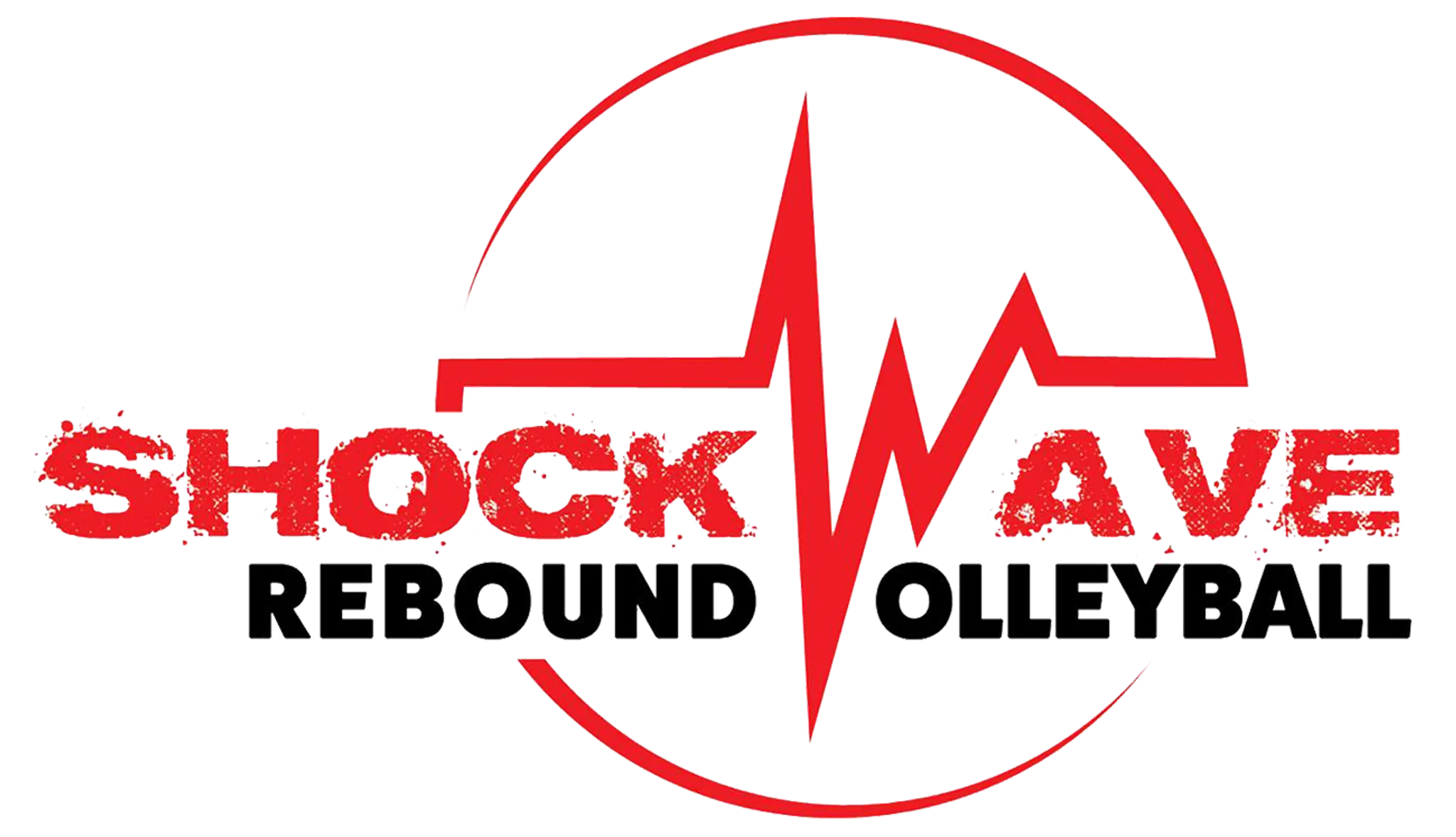Shockwave Rebound Volleyball