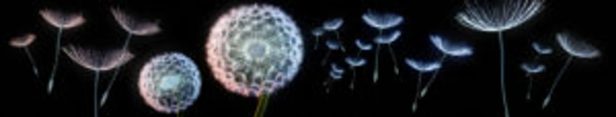 Isabelle GUITARD Hypnothérapeute