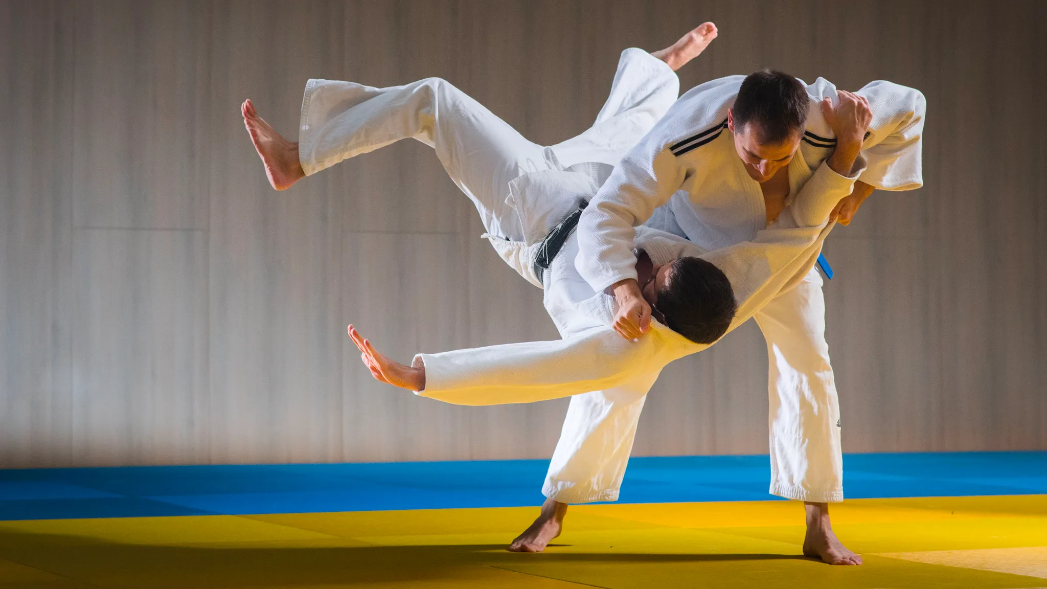 Judo banner