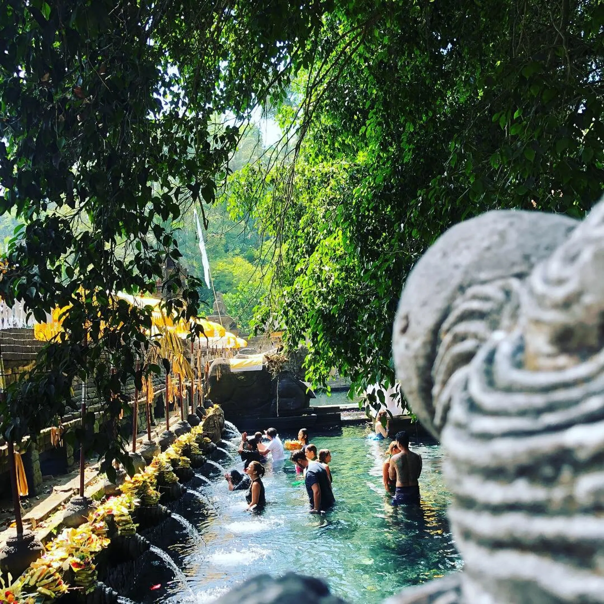 Pure Wellness Tasmania