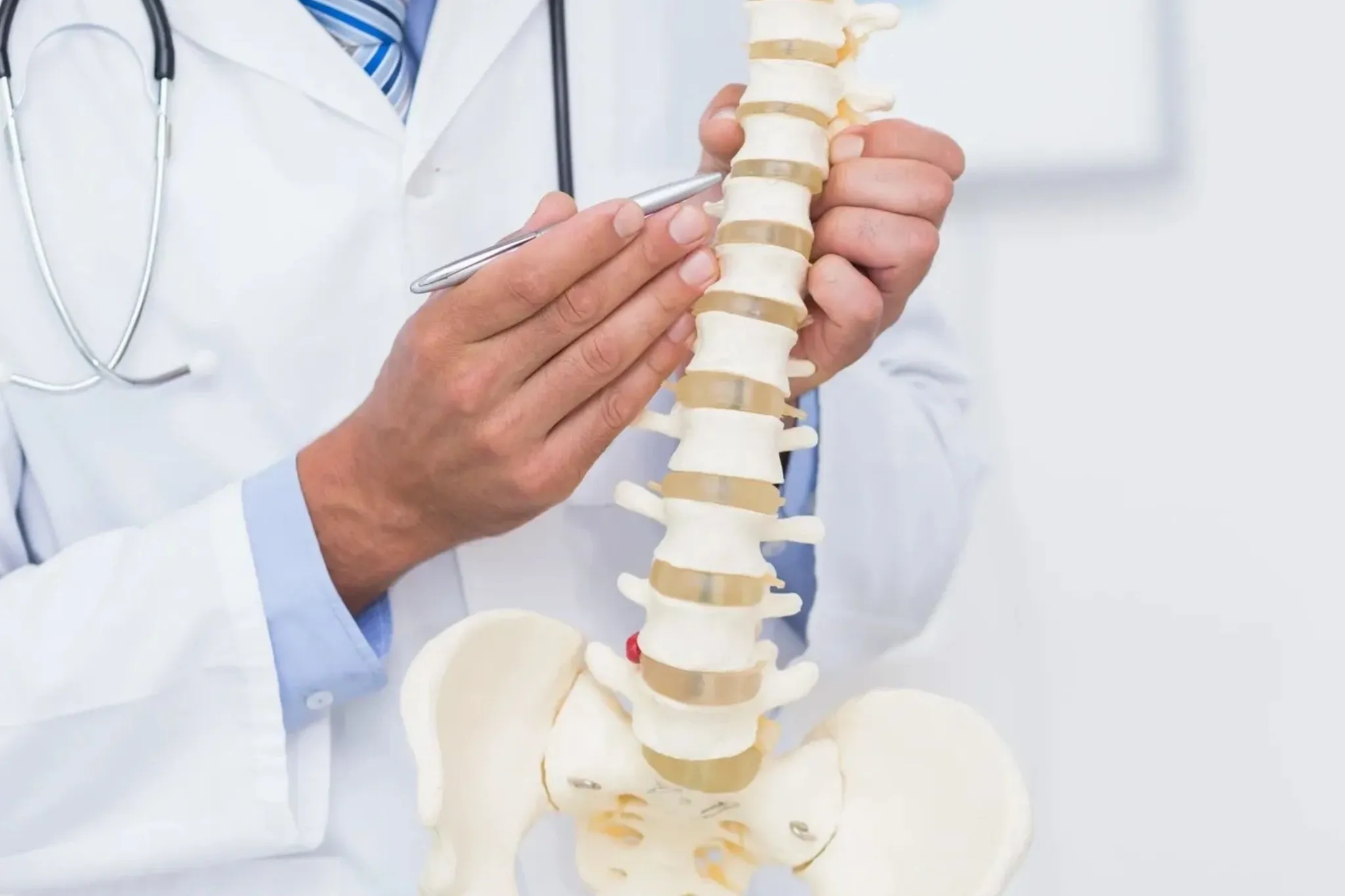 Chiropractic Wellness Centre - North York