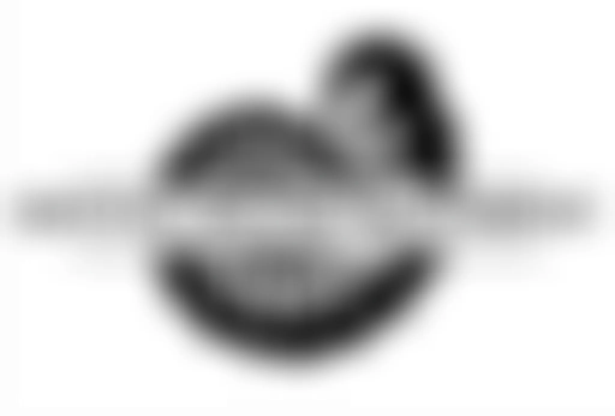 Yoga Sun Valley - Crystal Sound Movement