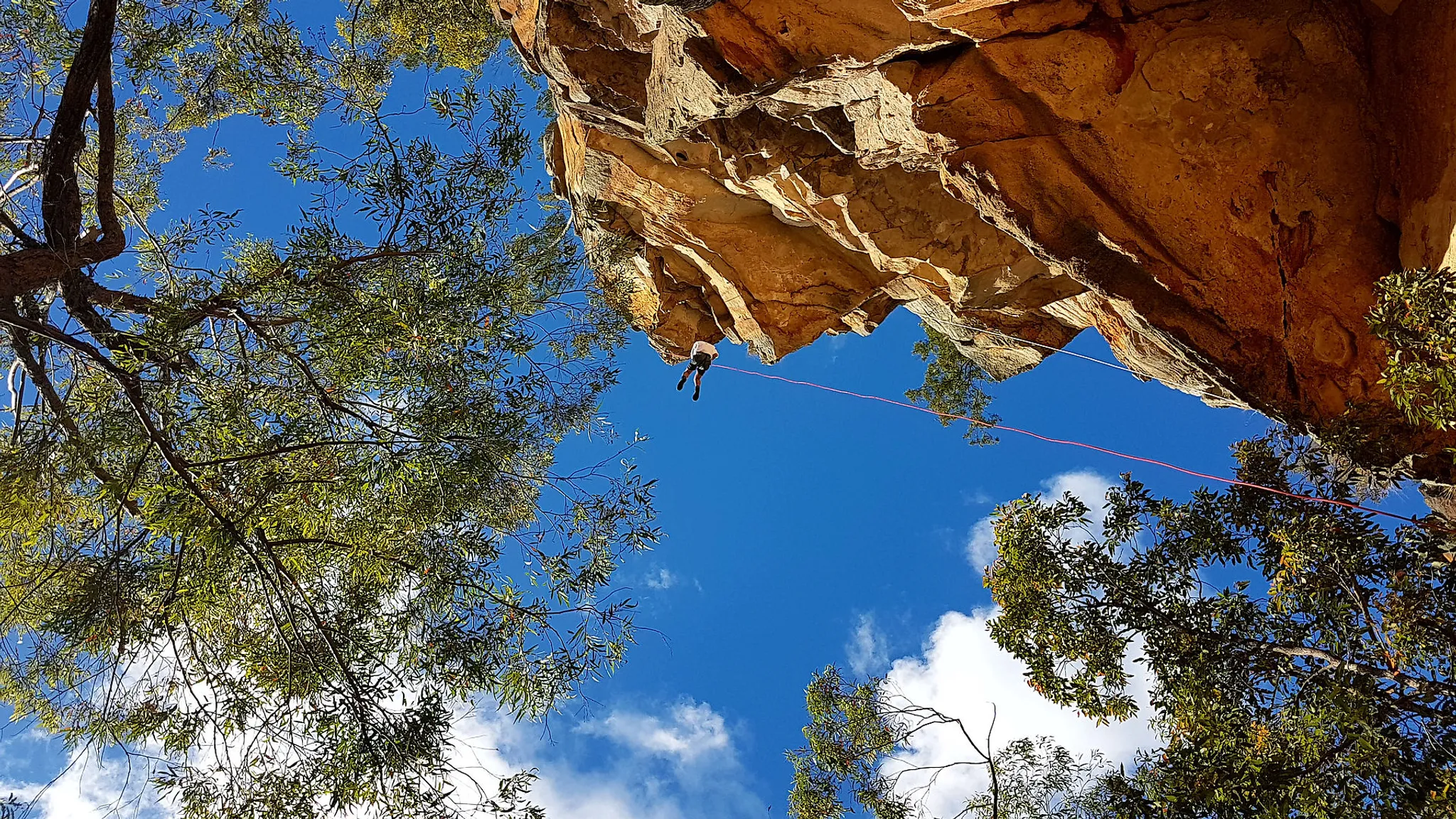 Mt Greville Day Walk