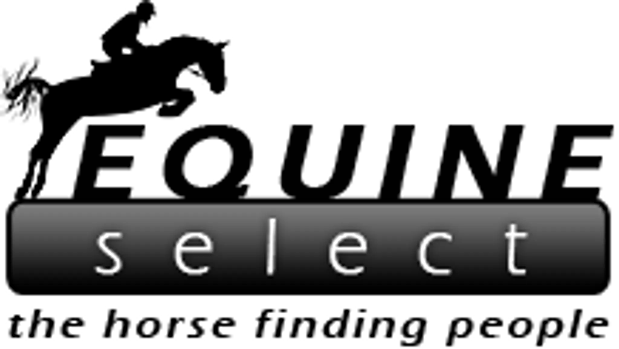 Equestrian advertising and on line tack shop