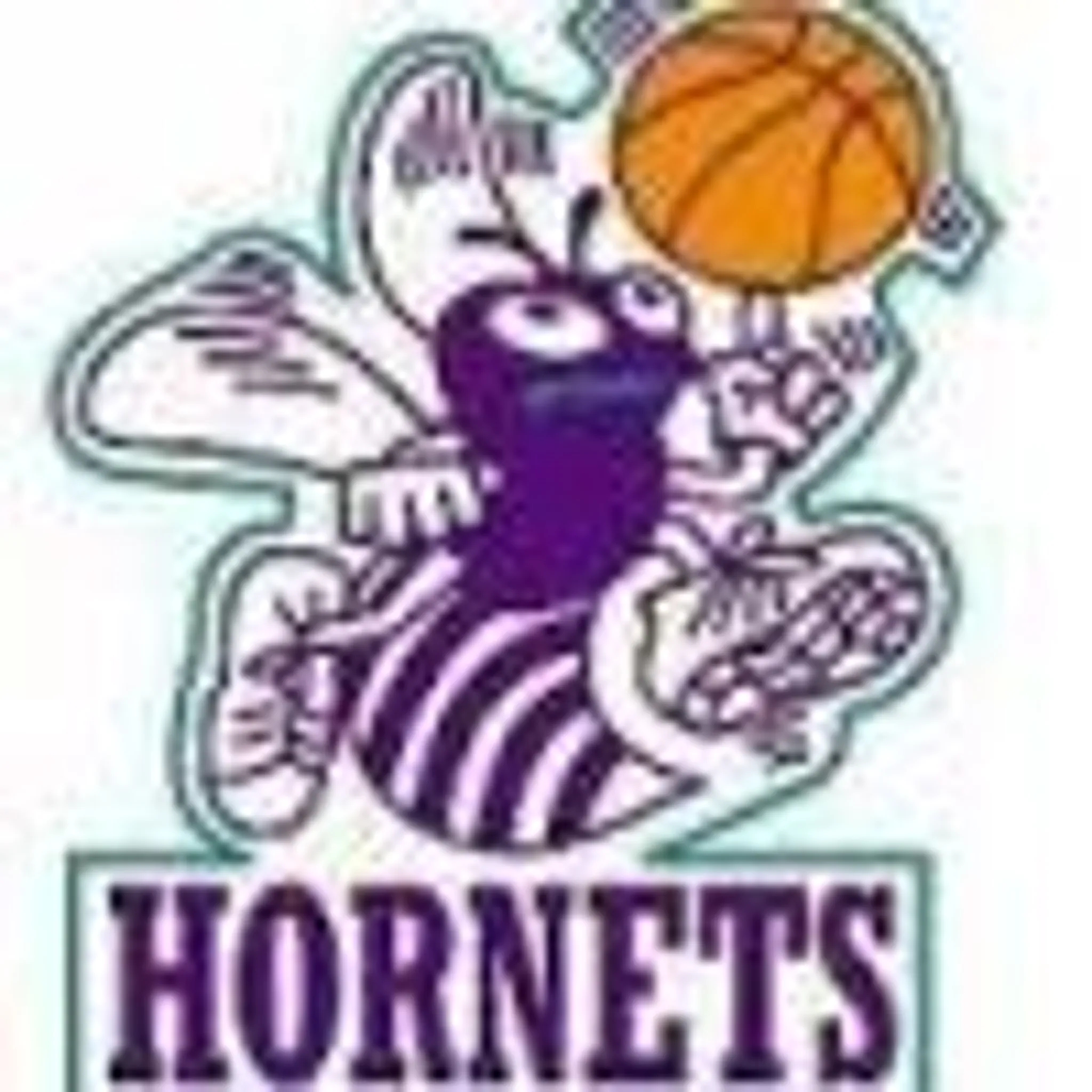 Healesville Hornets Basketball Club 