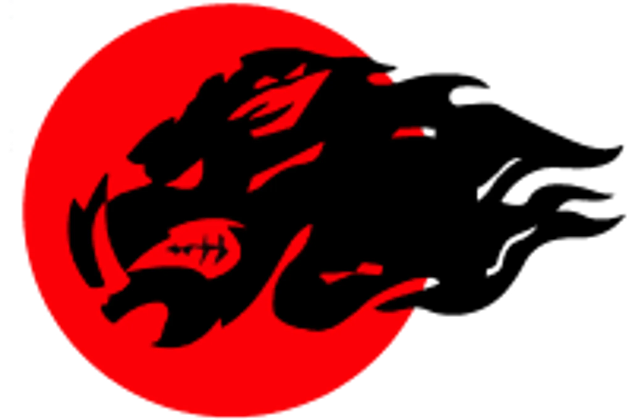 Bradford Tomiki Aikido Club