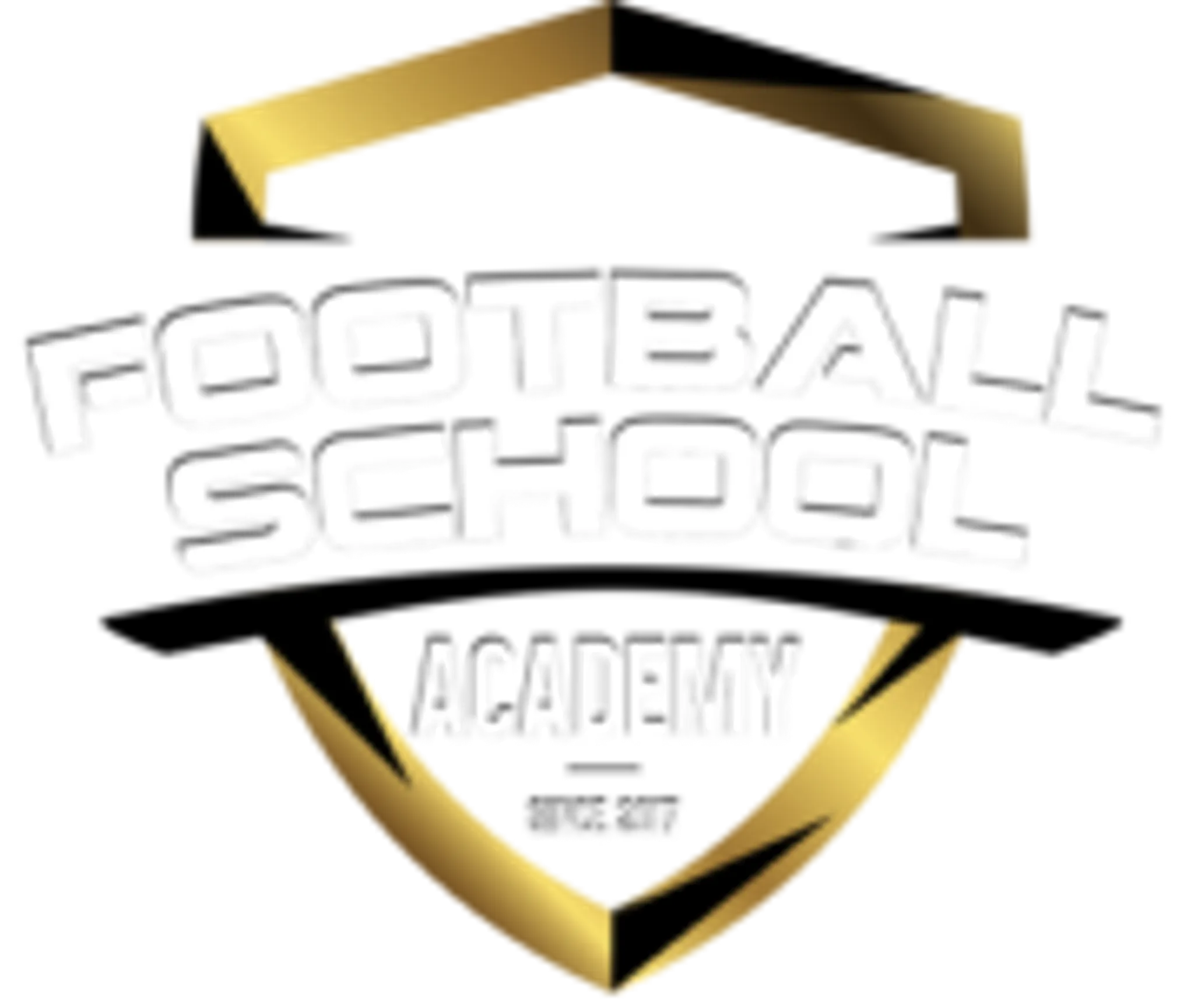 FOOTBALL SCHOOL ACADEMY