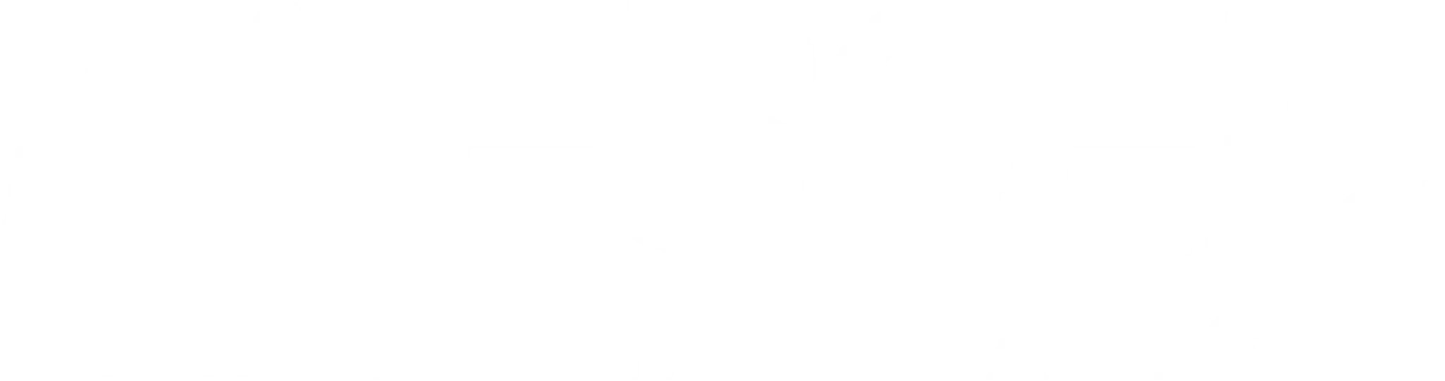 BLESSED MMA