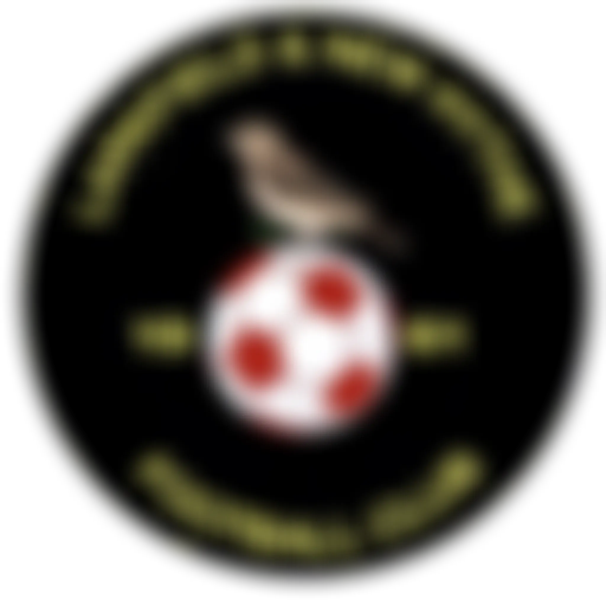 Larkfield & New Hythe Wanderers F.C.