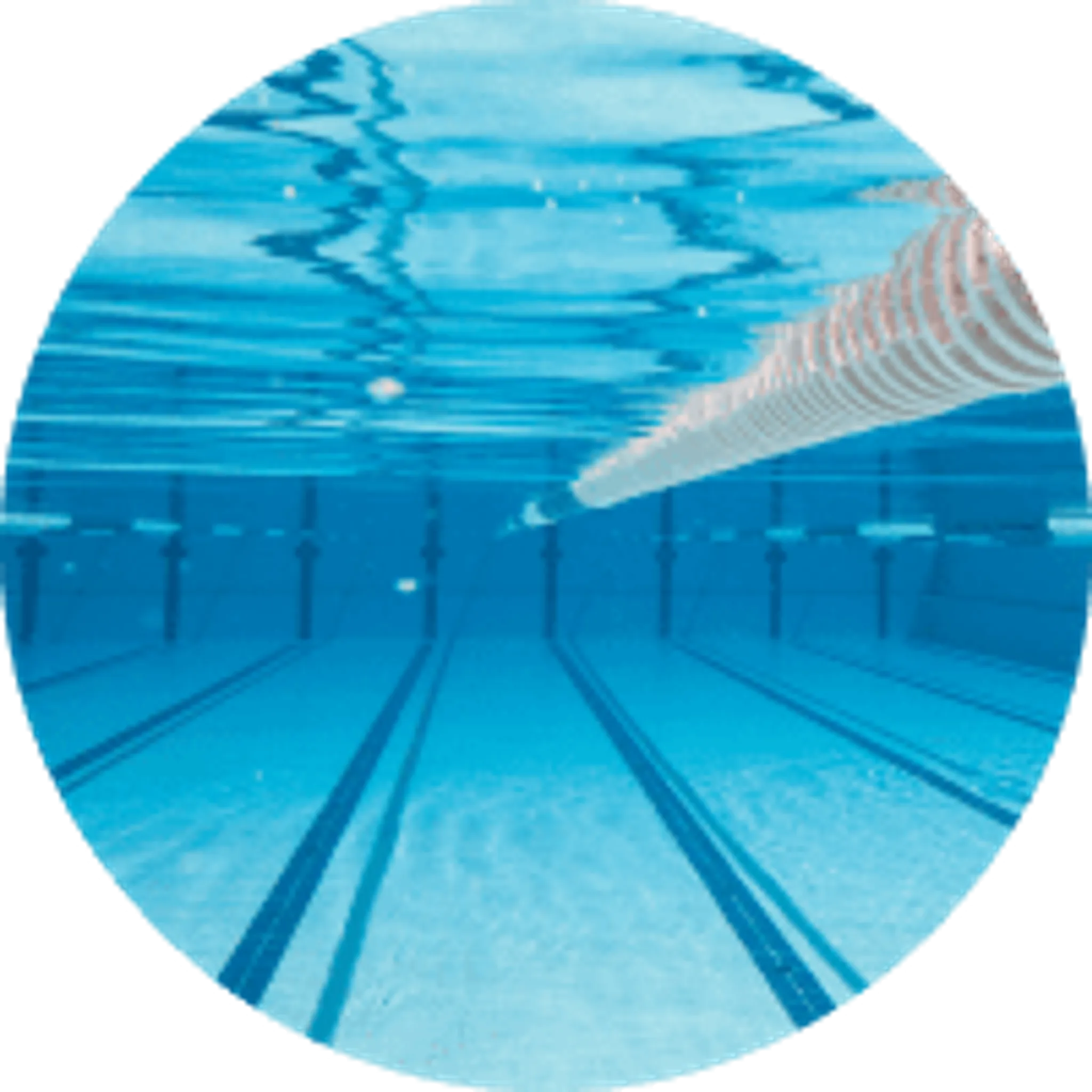 Fitso Sector 54 Suncity, Swimming