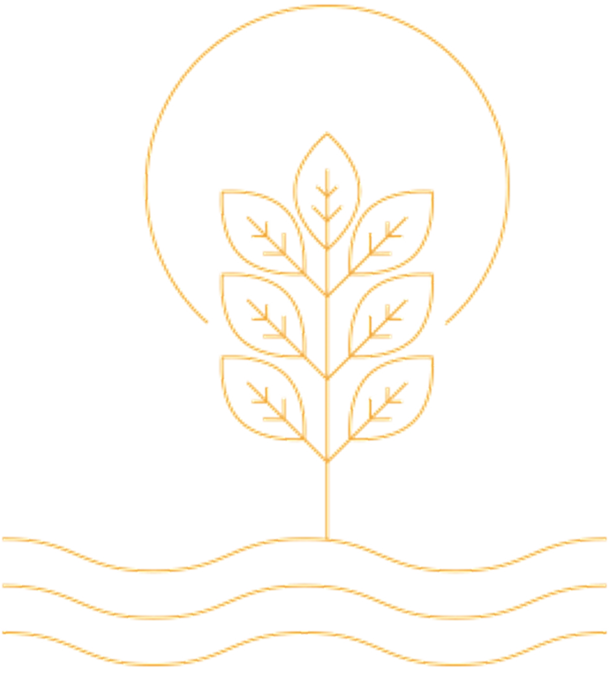 Prakriti Shakti - CGH Earth Nature Cure Centre, Kerala