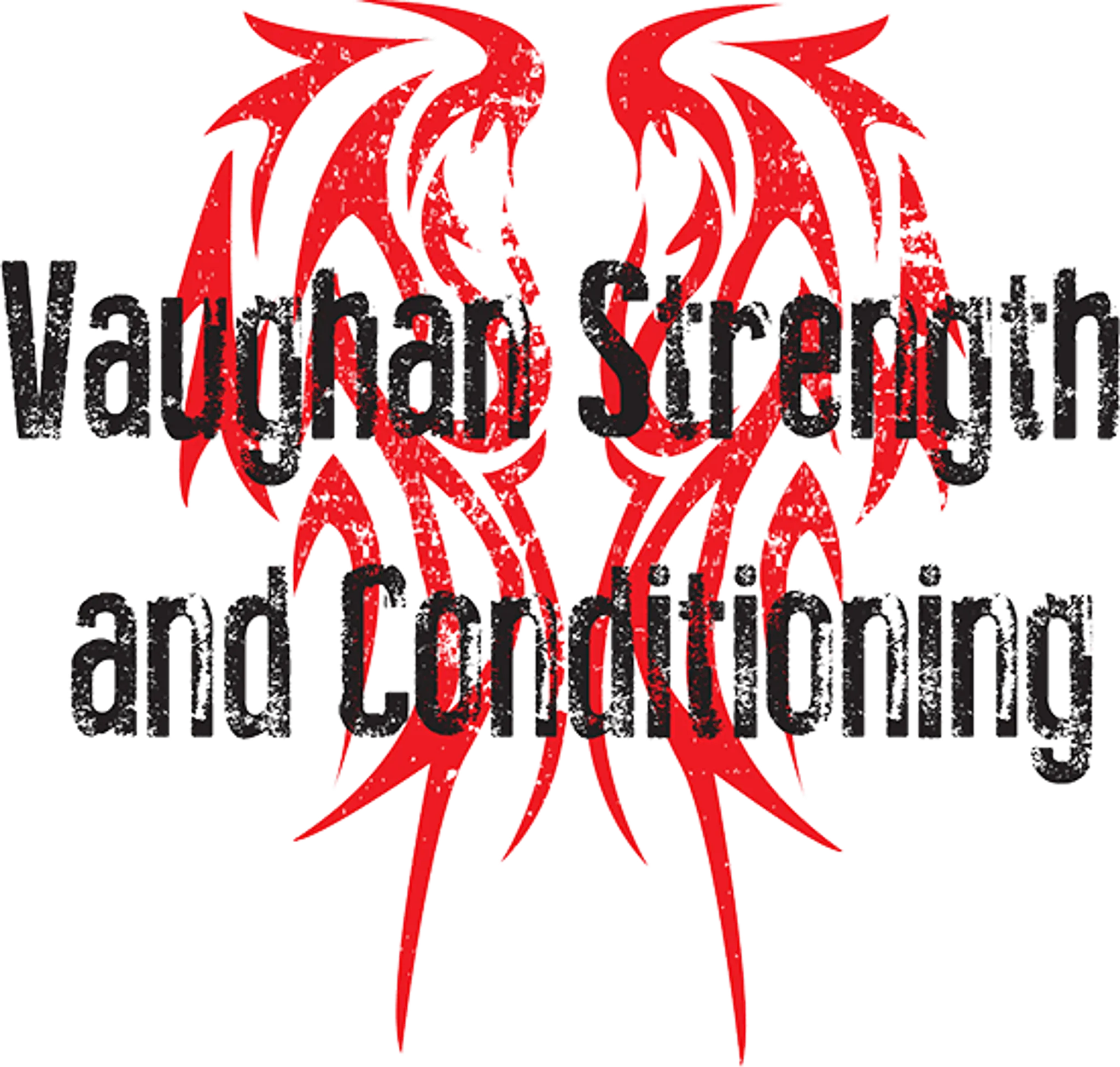 Vaughan Strength and Conditioning