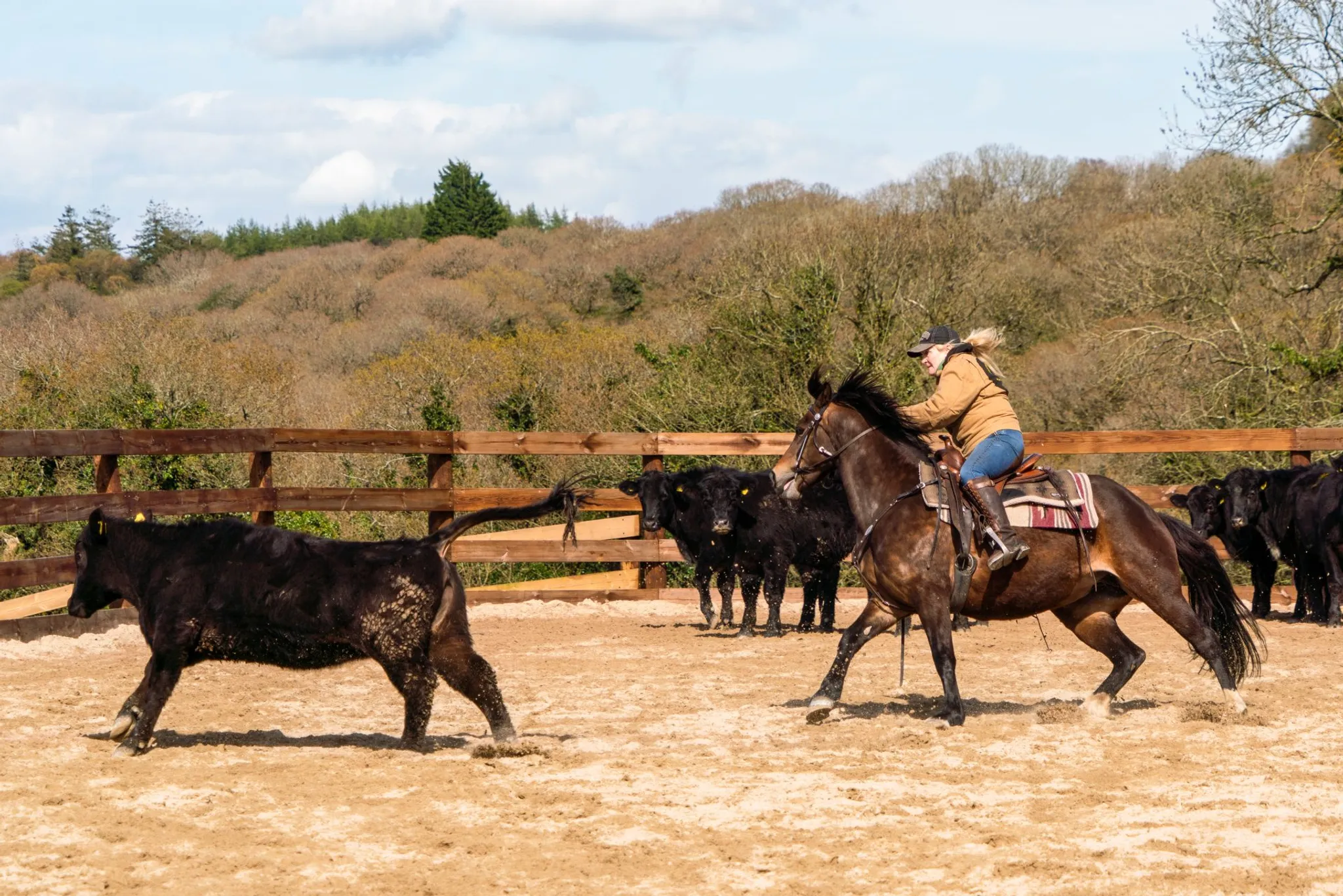 Western Experience Days