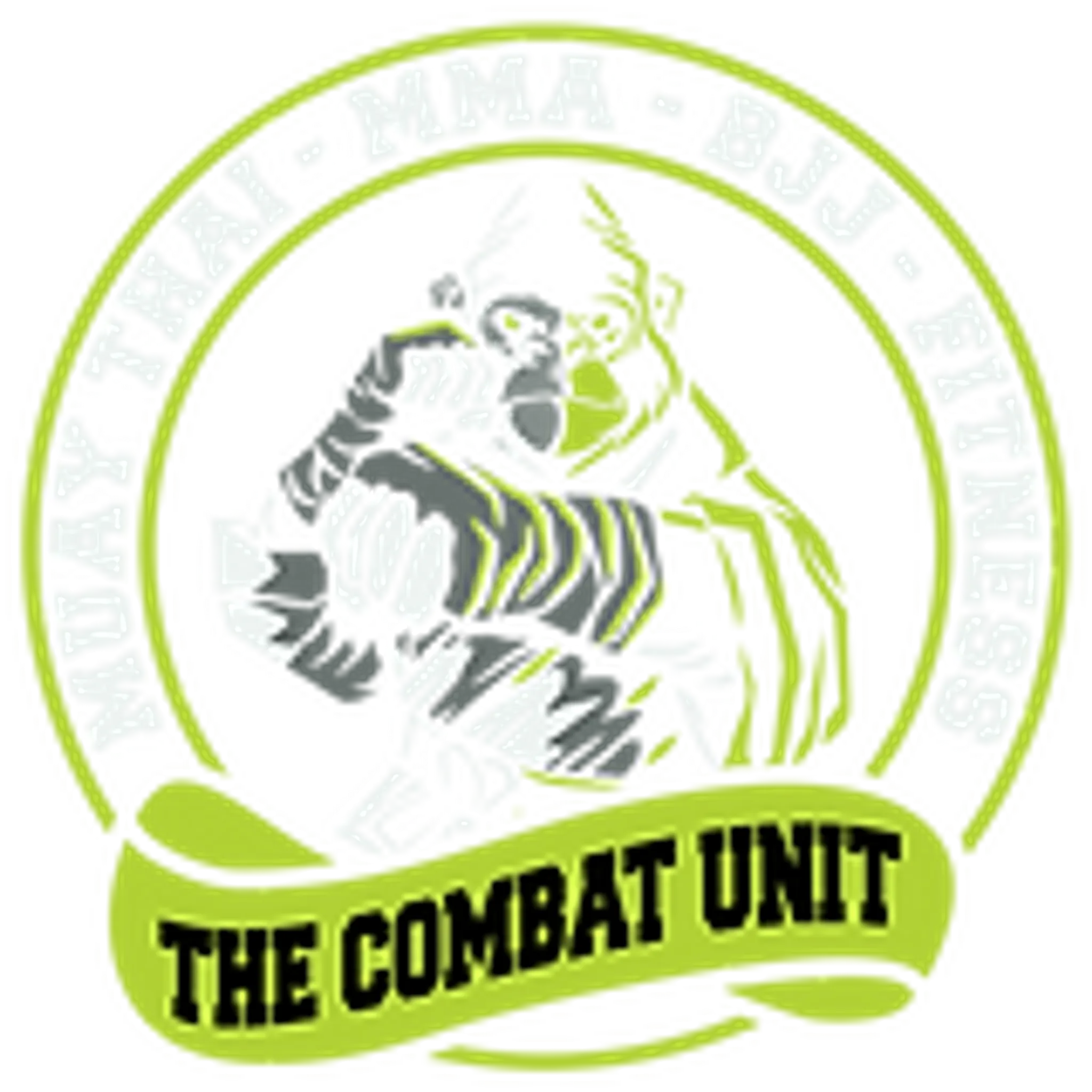 The Combat Unit
