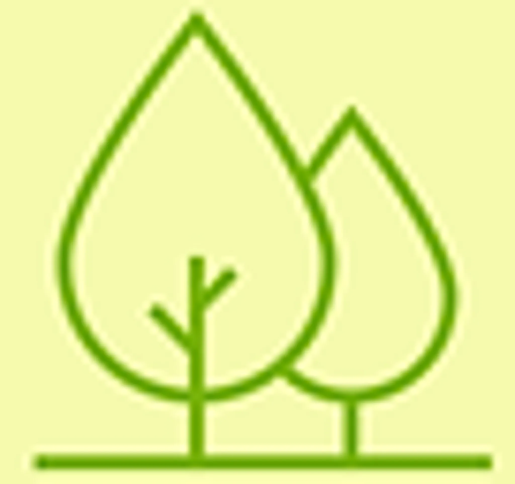 Macc Forest Pilates & Tai Chi