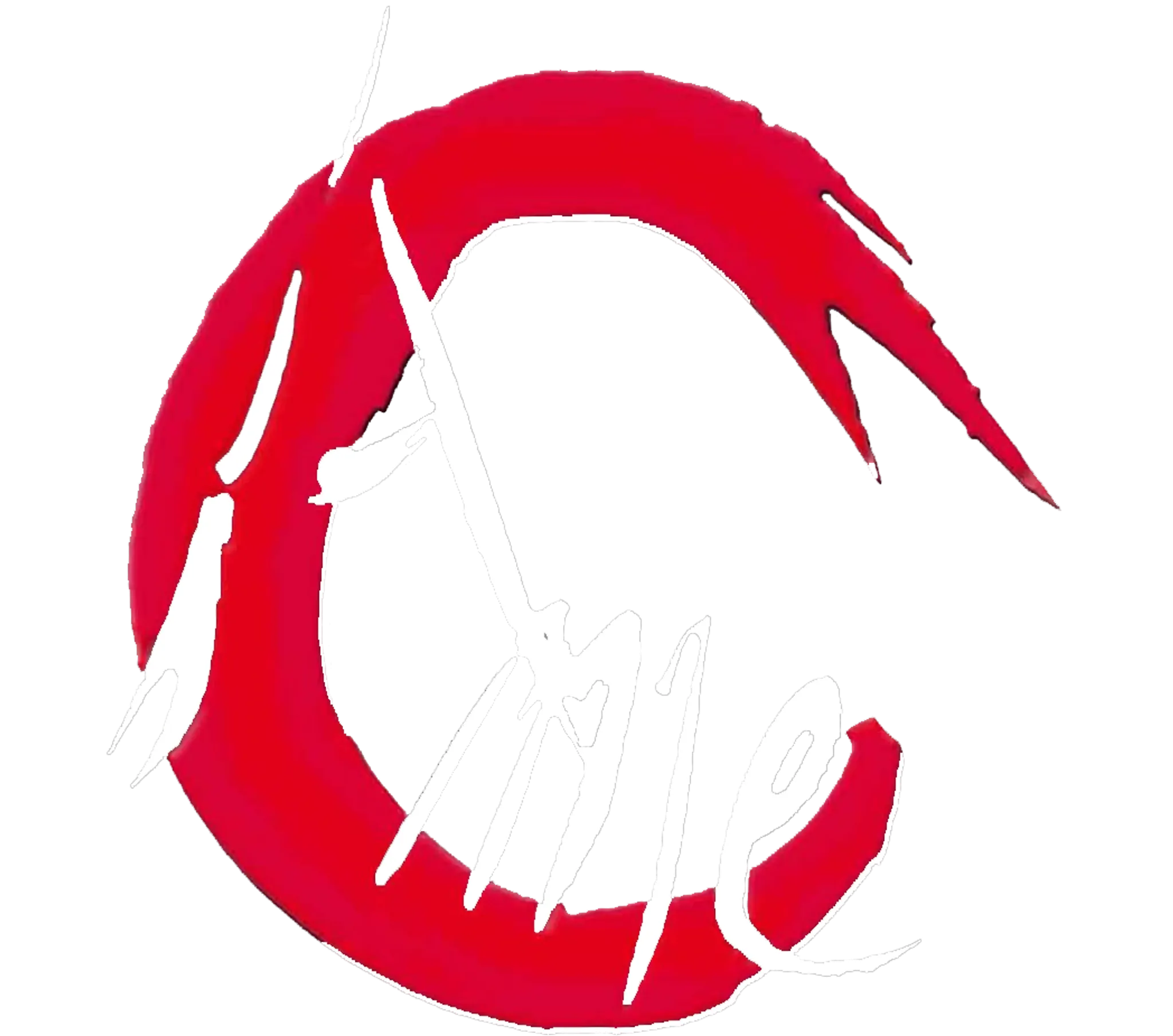 Aikido Movement Evasion