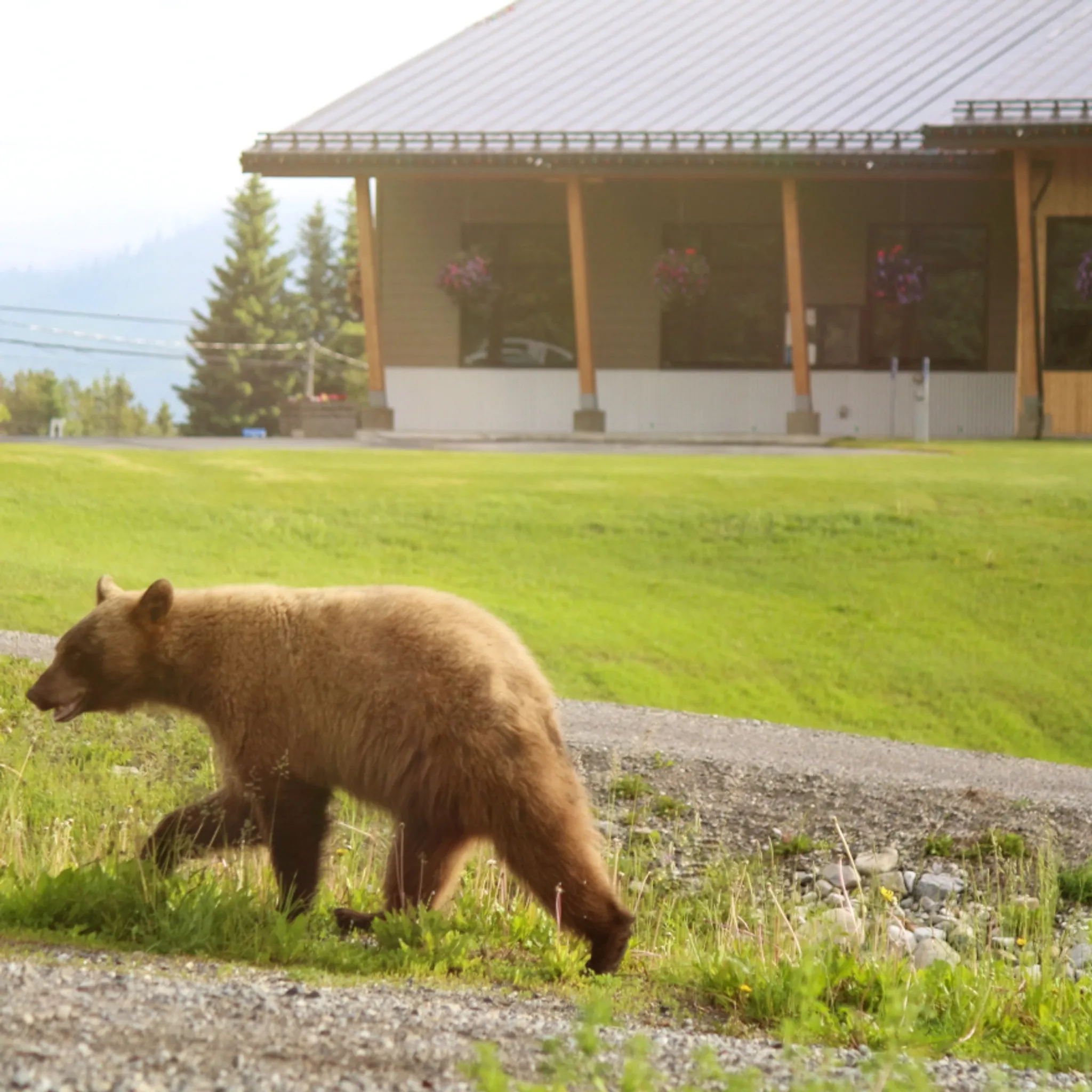Elkford Aquatic Centre