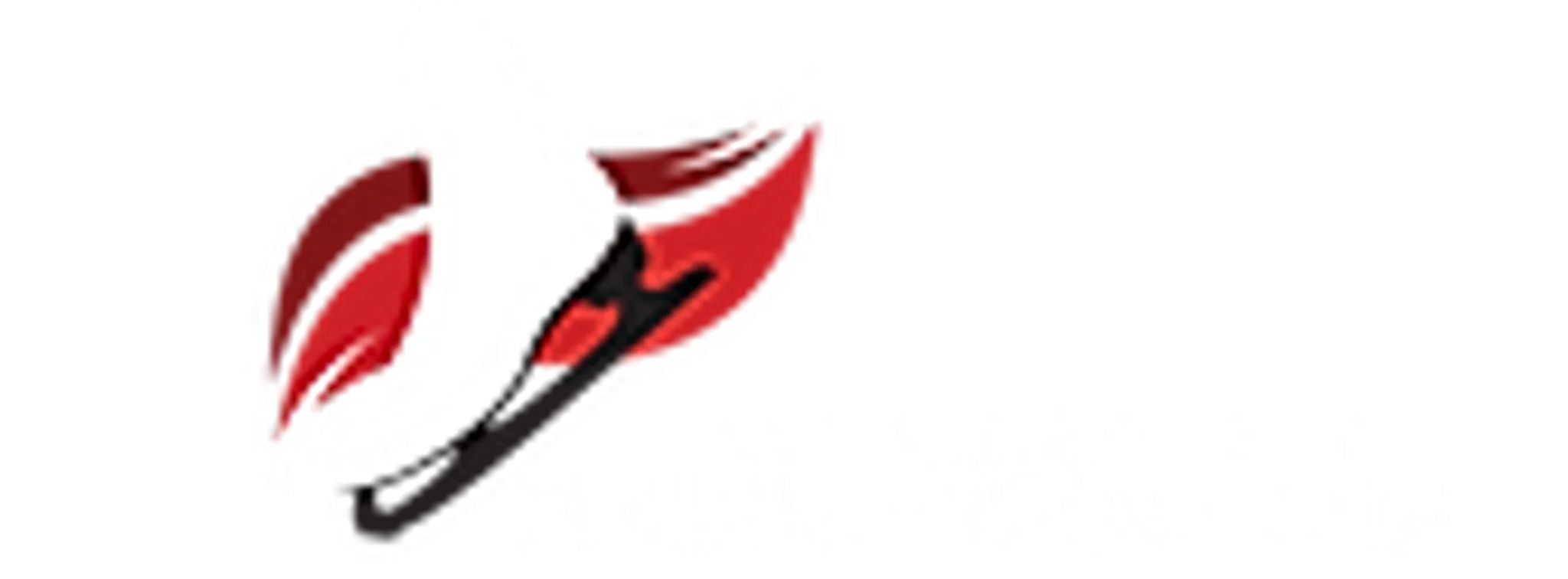 Thunder Bay Figure Skating Club