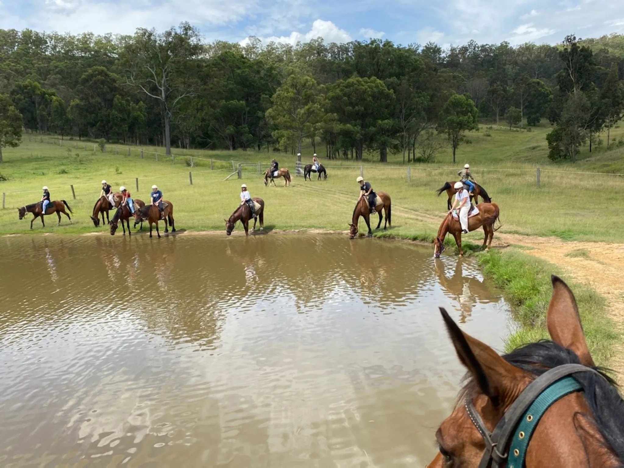 Hunter Valley Horse Riding & Adventures