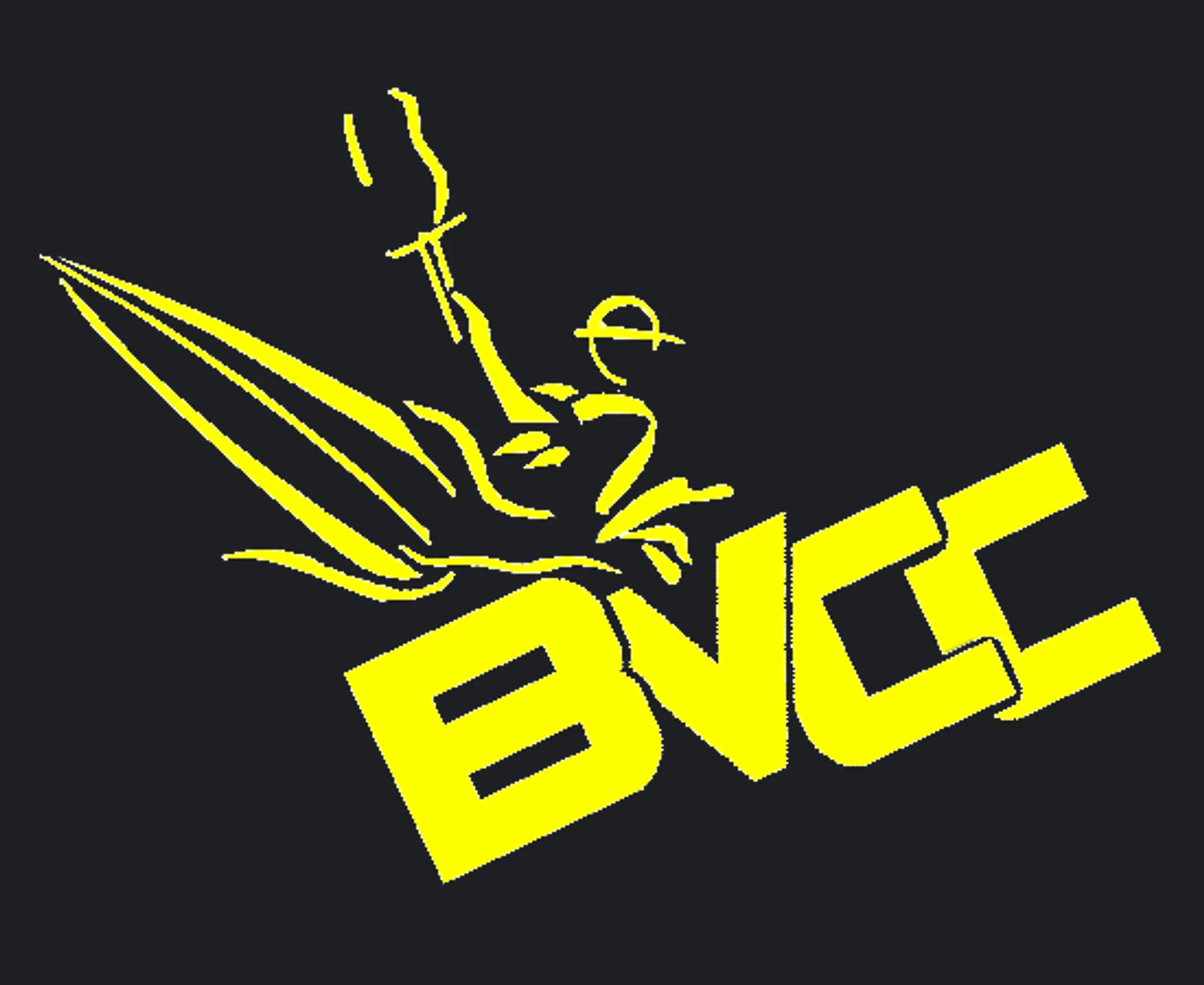 Blackwater Valley Canoe Club