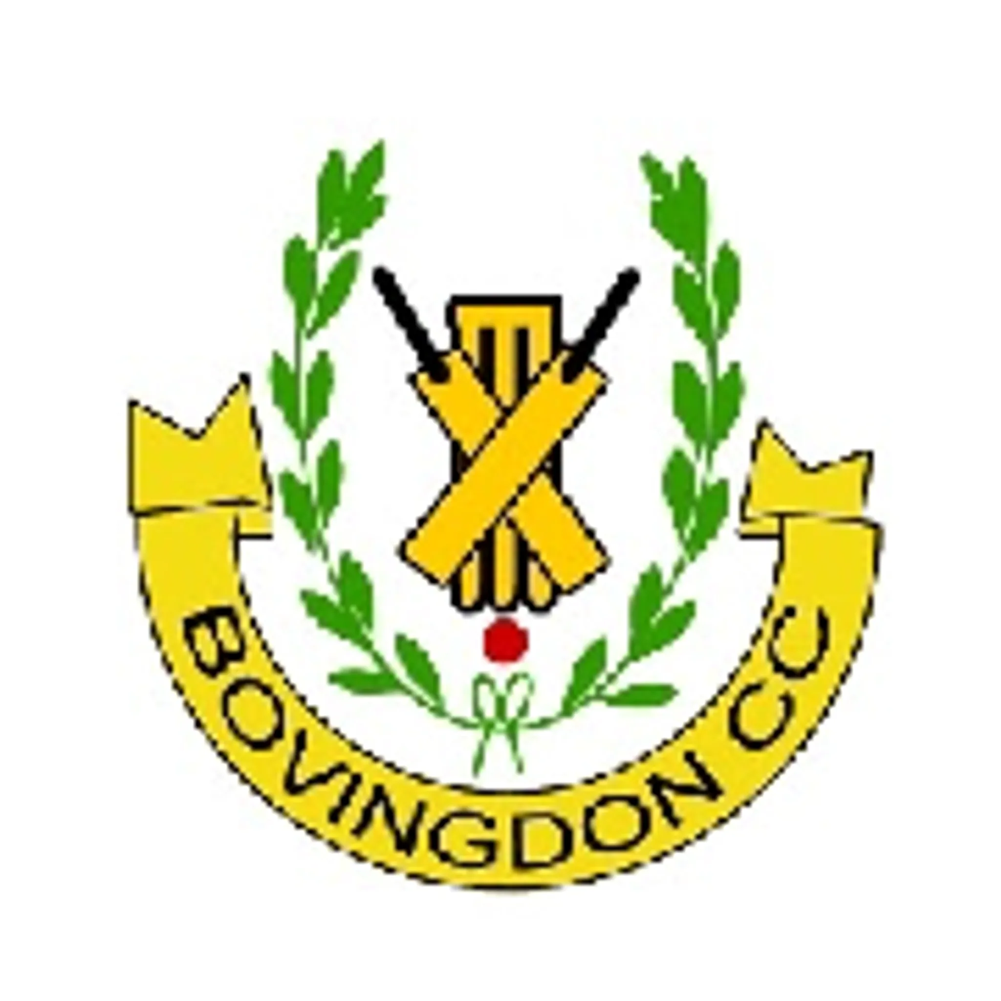 Bovingdon Cricket Club