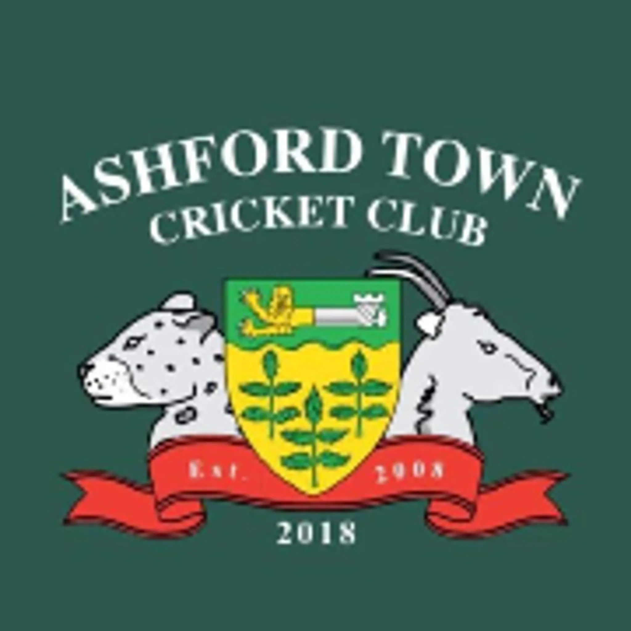 Ashford Town Cricket Club