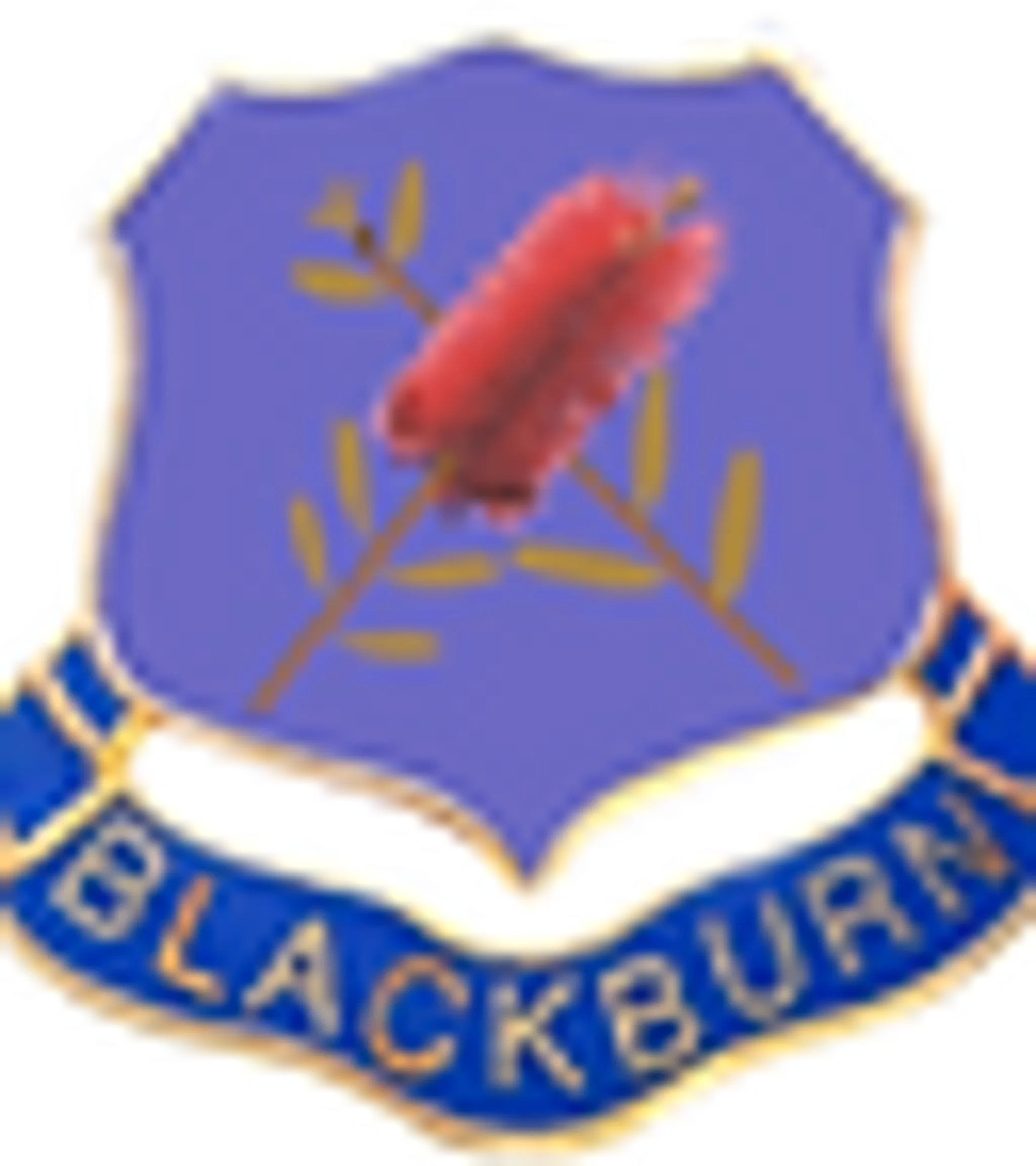 Blackburn Calisthenic College