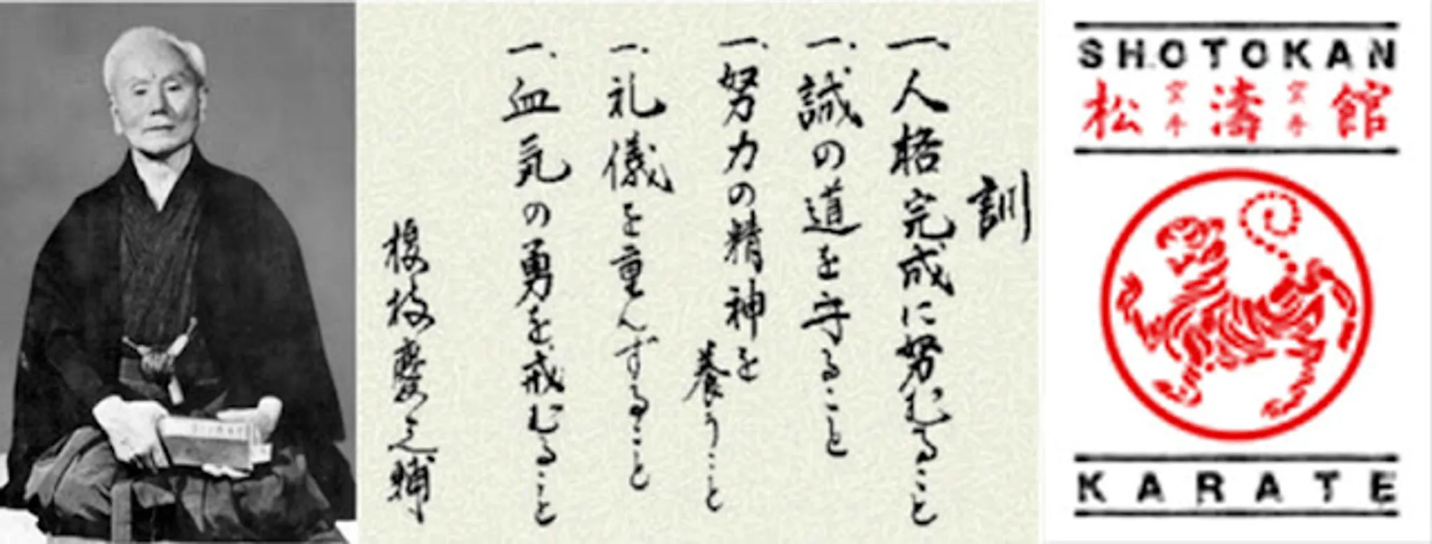 Karate & Fitness (International Budo Shotokan Karate Do Association)