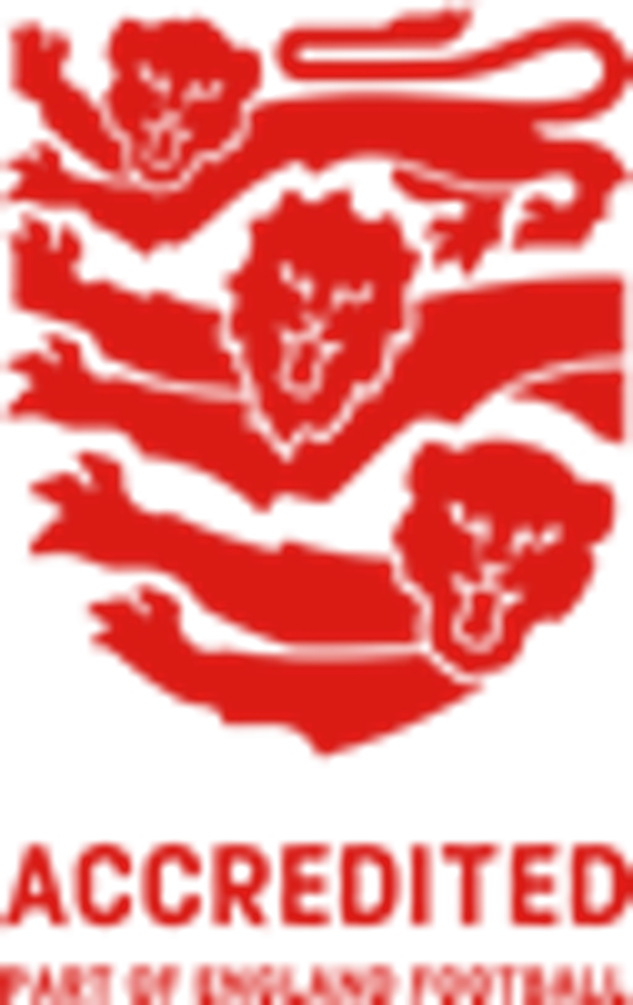 Leonard Stanley Football Club