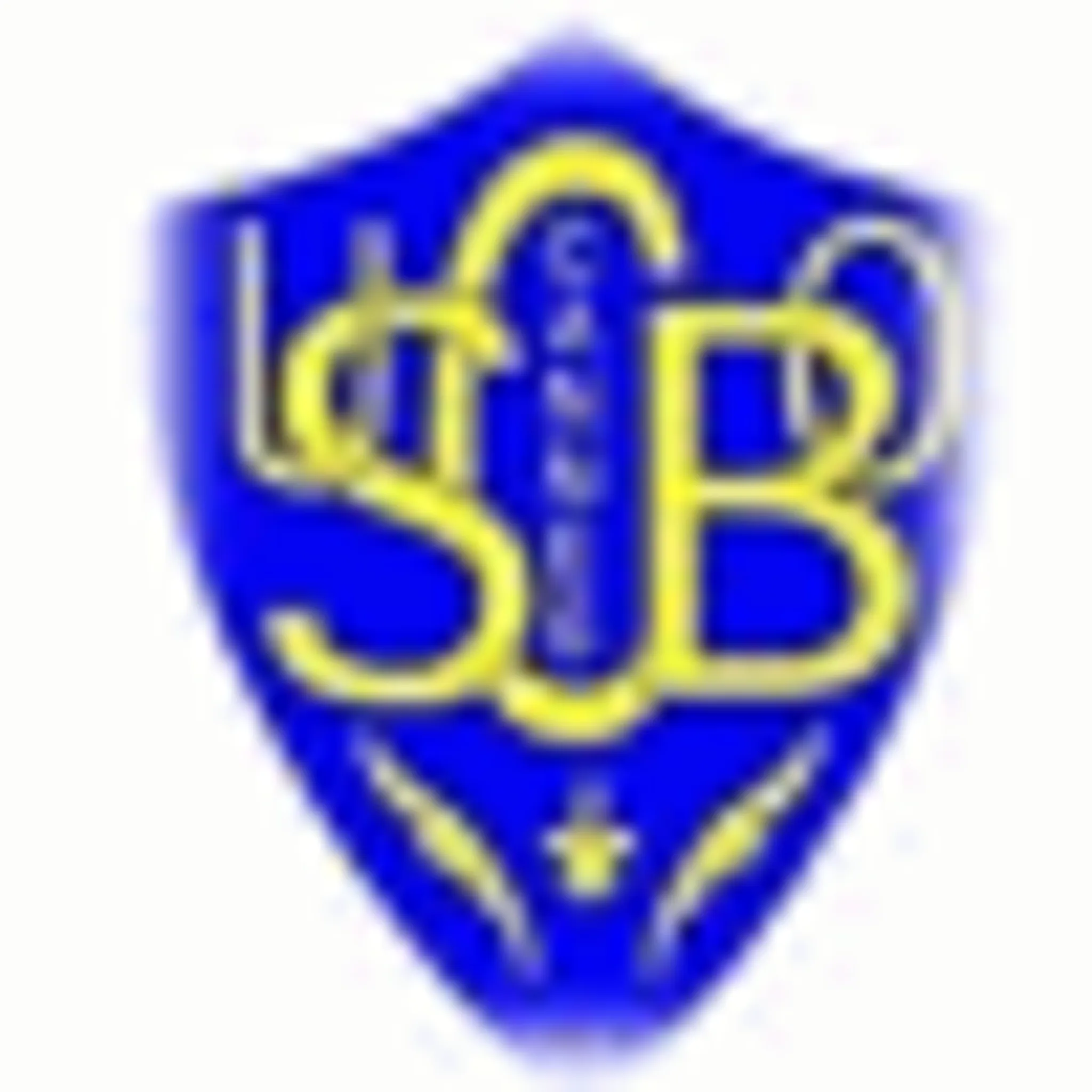 Complexe Sportif des Mûriers