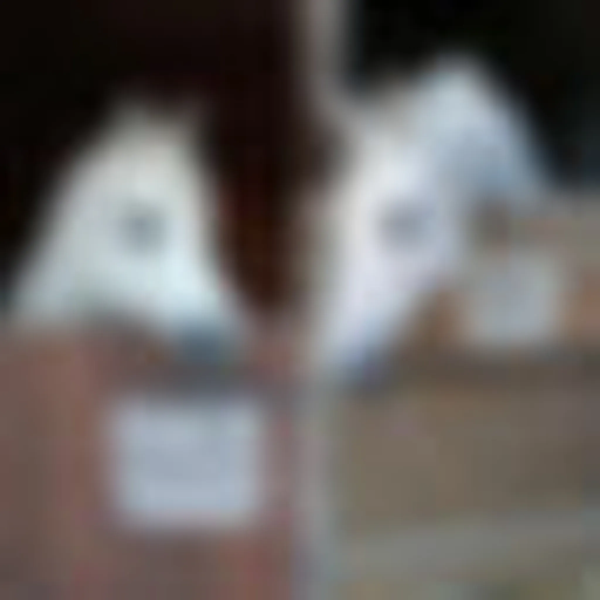 Les Ecuries De Villemer Villemer