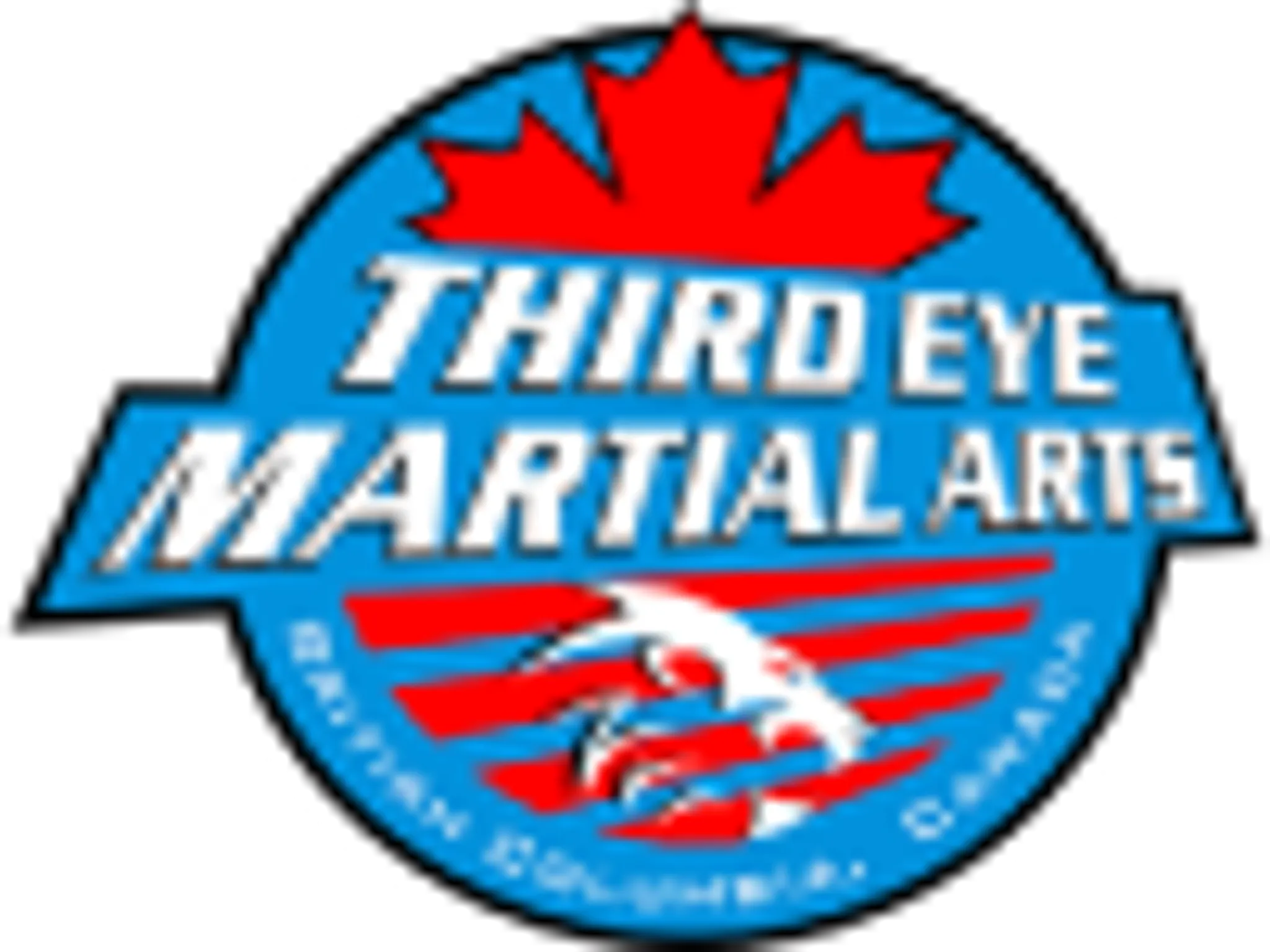 Third Eye Martial Arts Studio / Dunbar