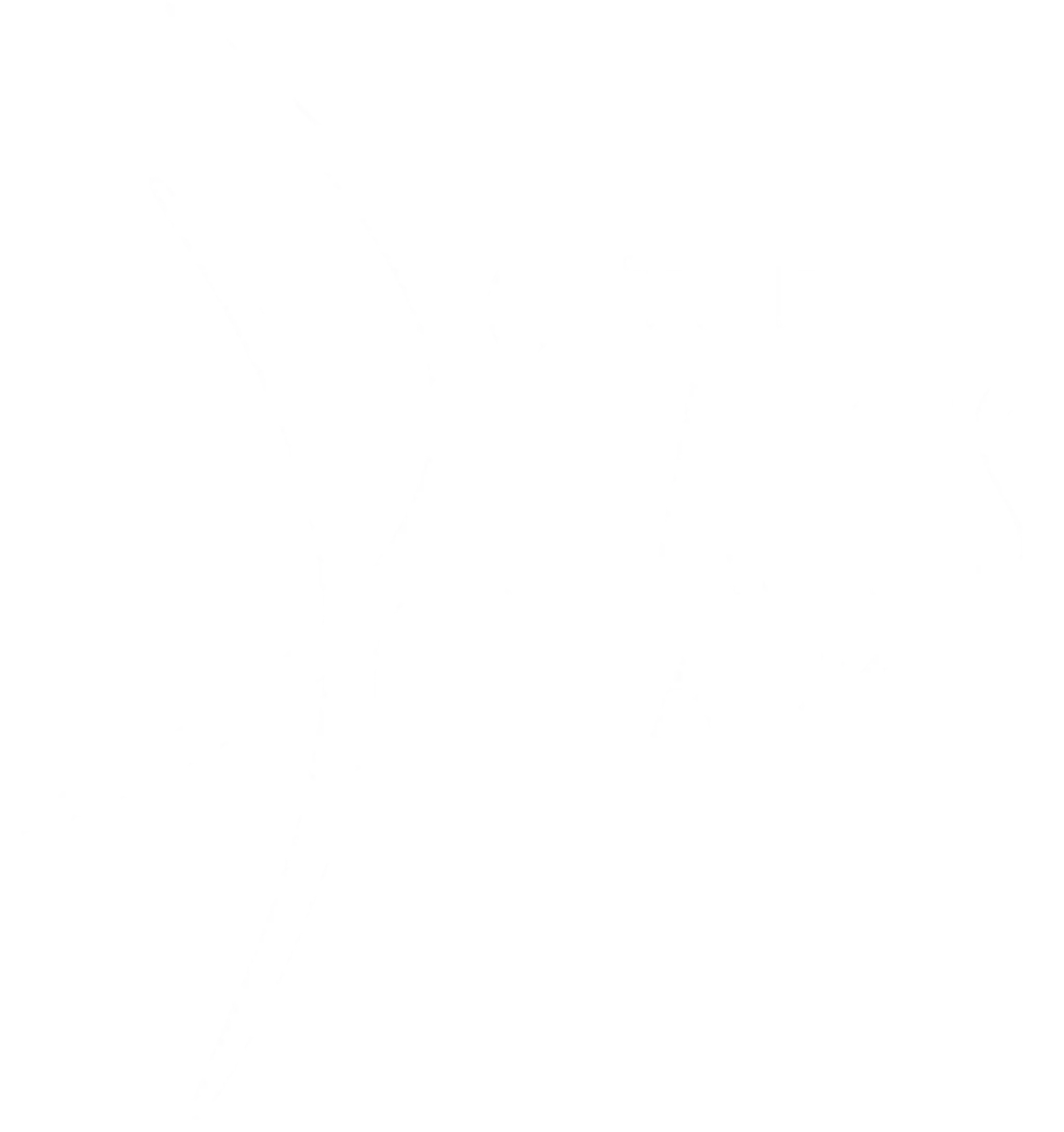 The Pilates Lady