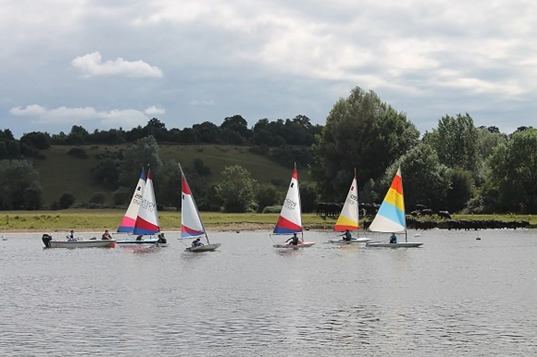 Amateur Sailing Regatta