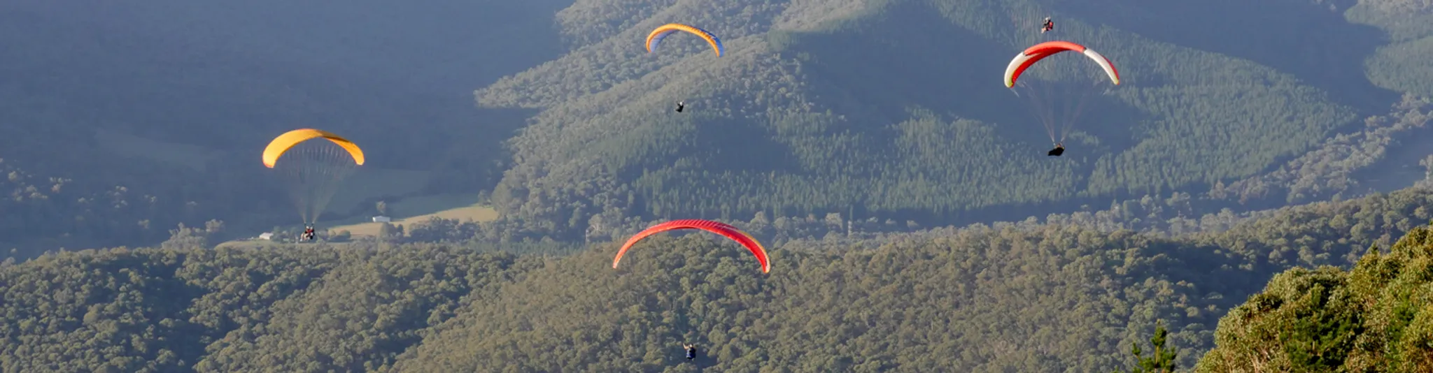 Learn Paragliding