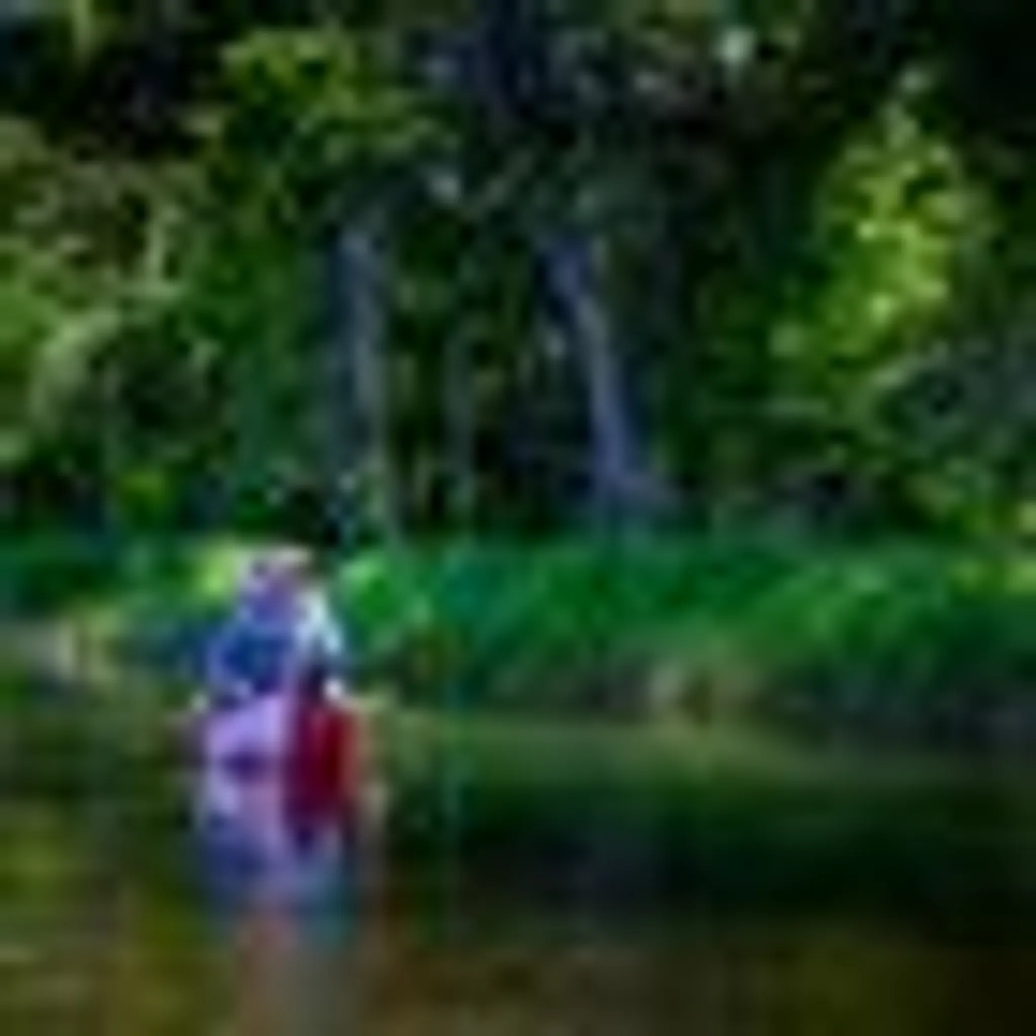 Algonquin Fly Fishing Premium Guide Service