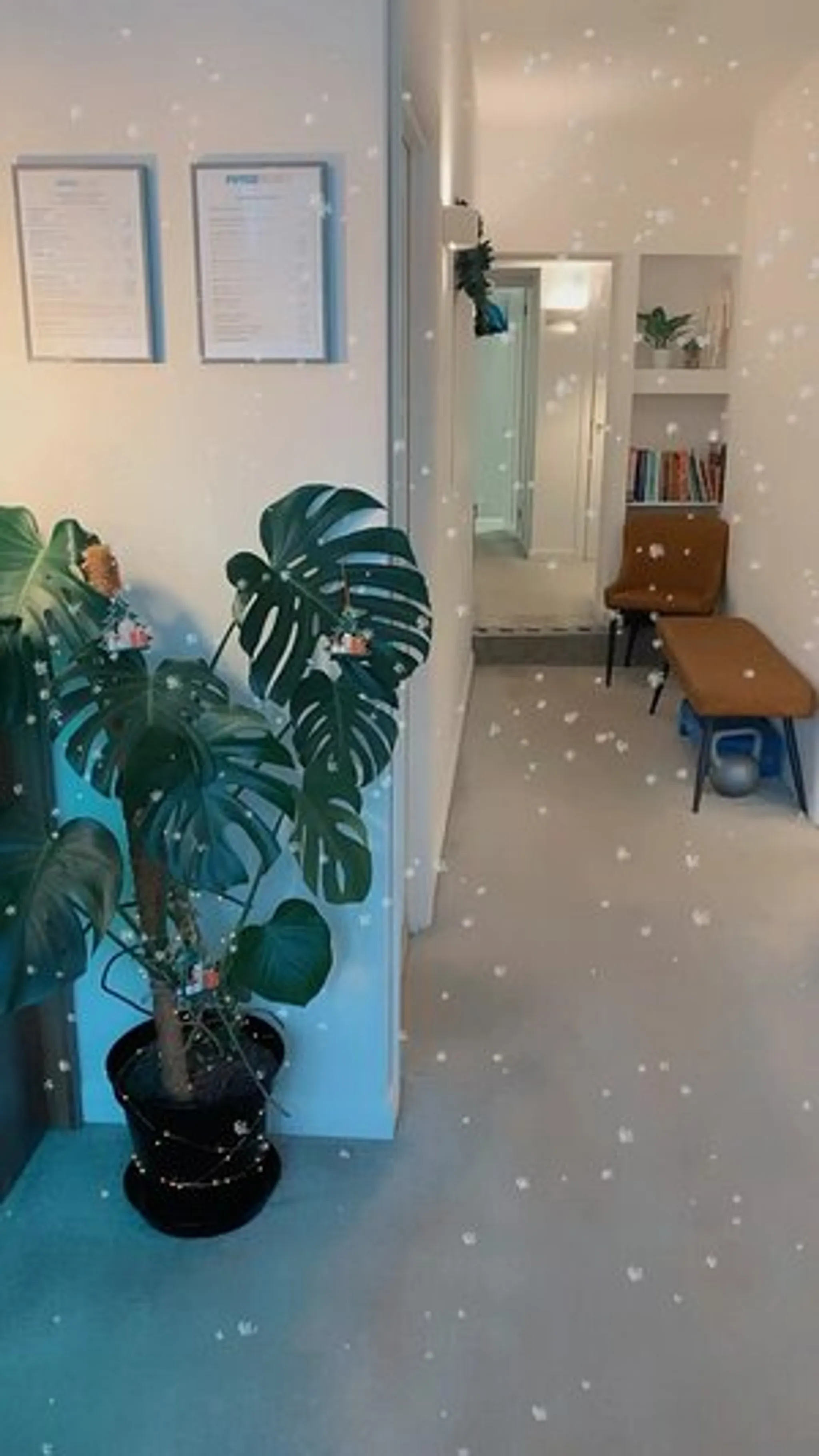 Sussex Physio Pilates