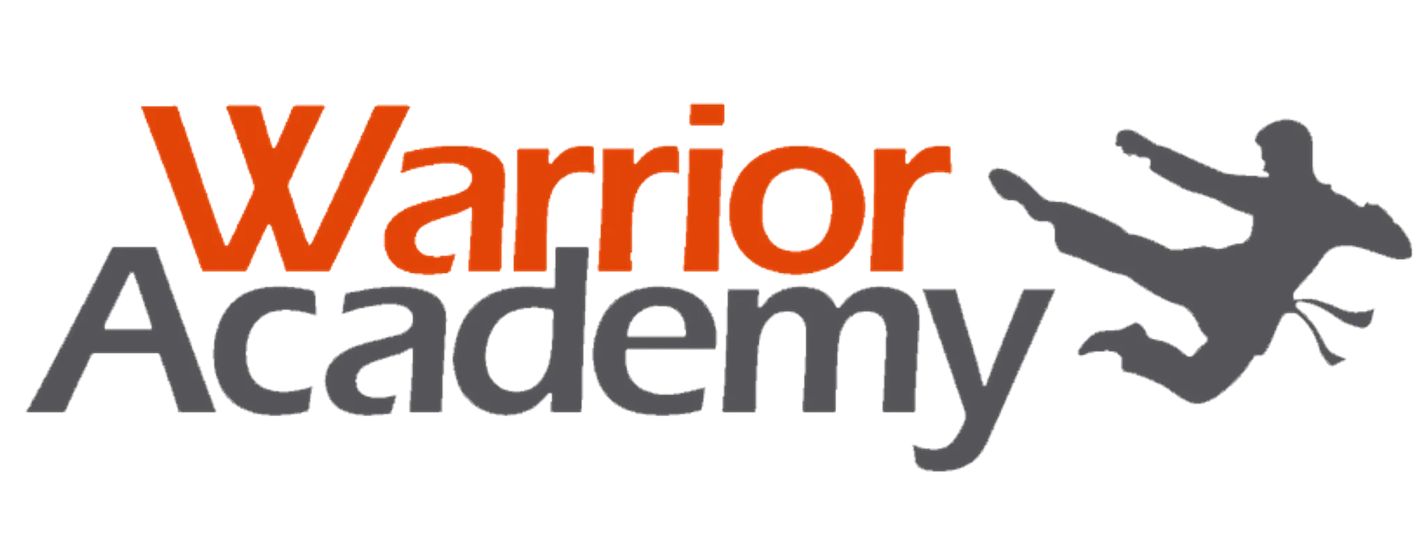 The Warrior Academy - Martial Arts Tuition