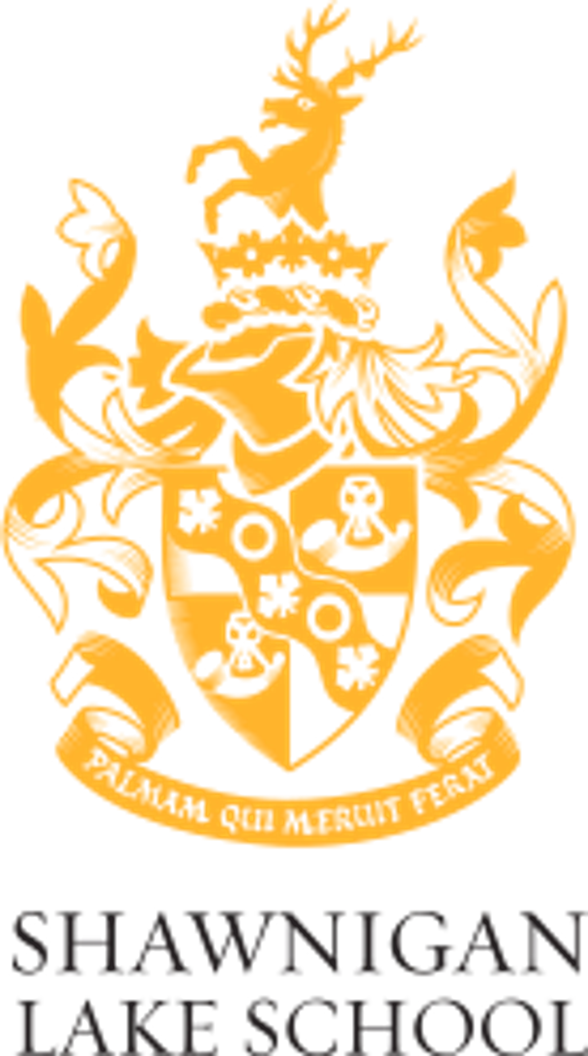 Charlie Purdey Arena