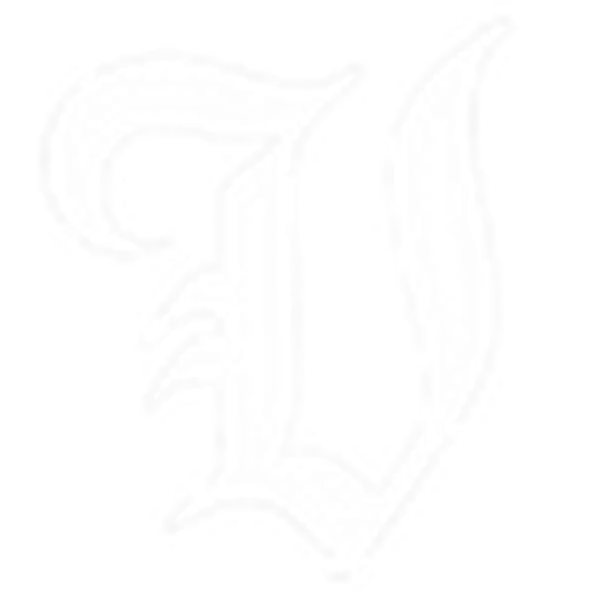 Velocity Dance Company