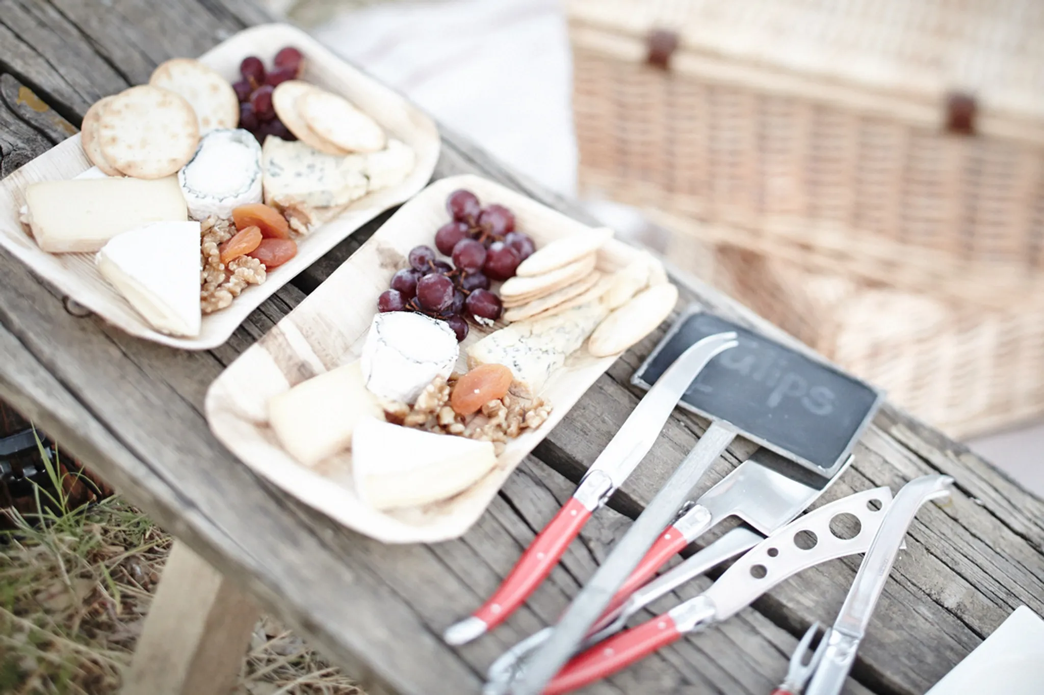 Forge's Farm Rides & Services