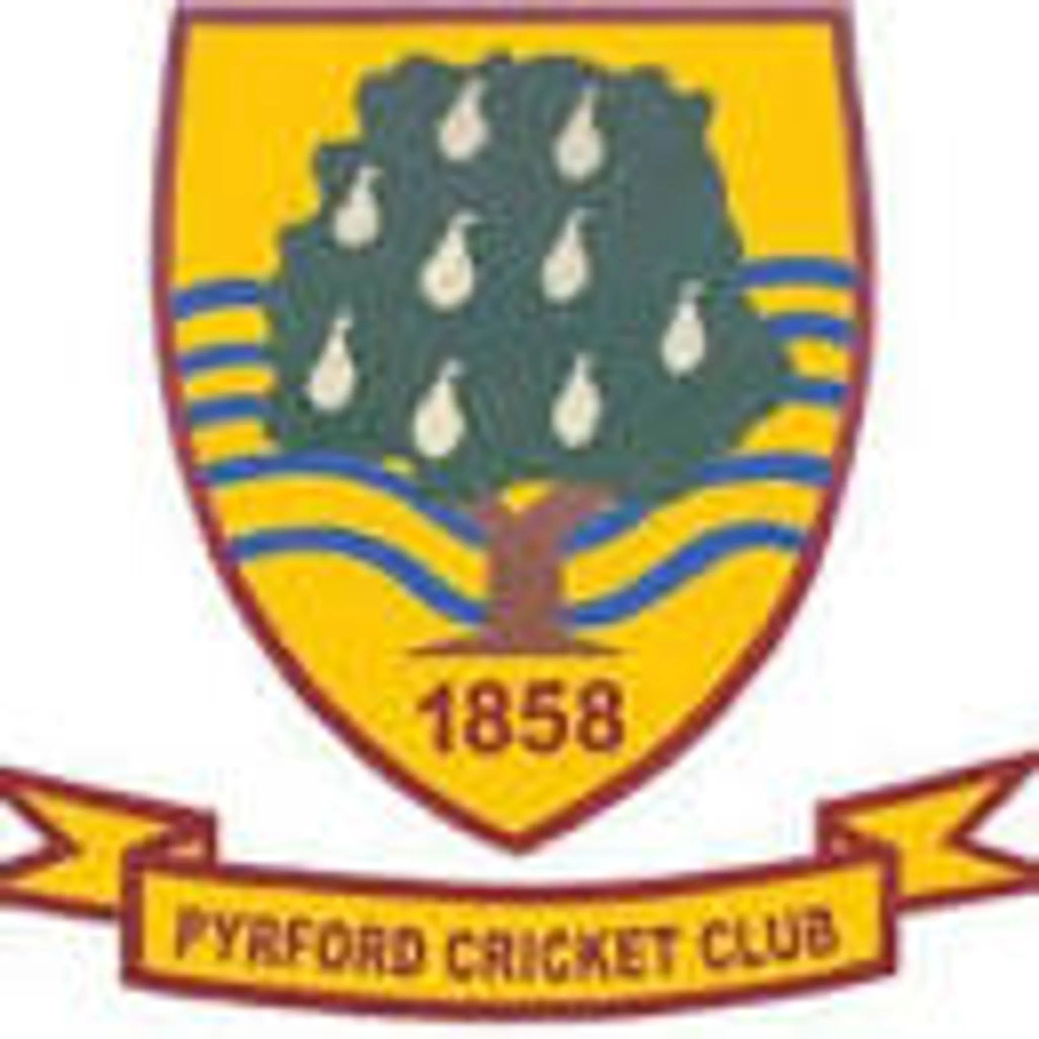 Pyrford Cricket Club