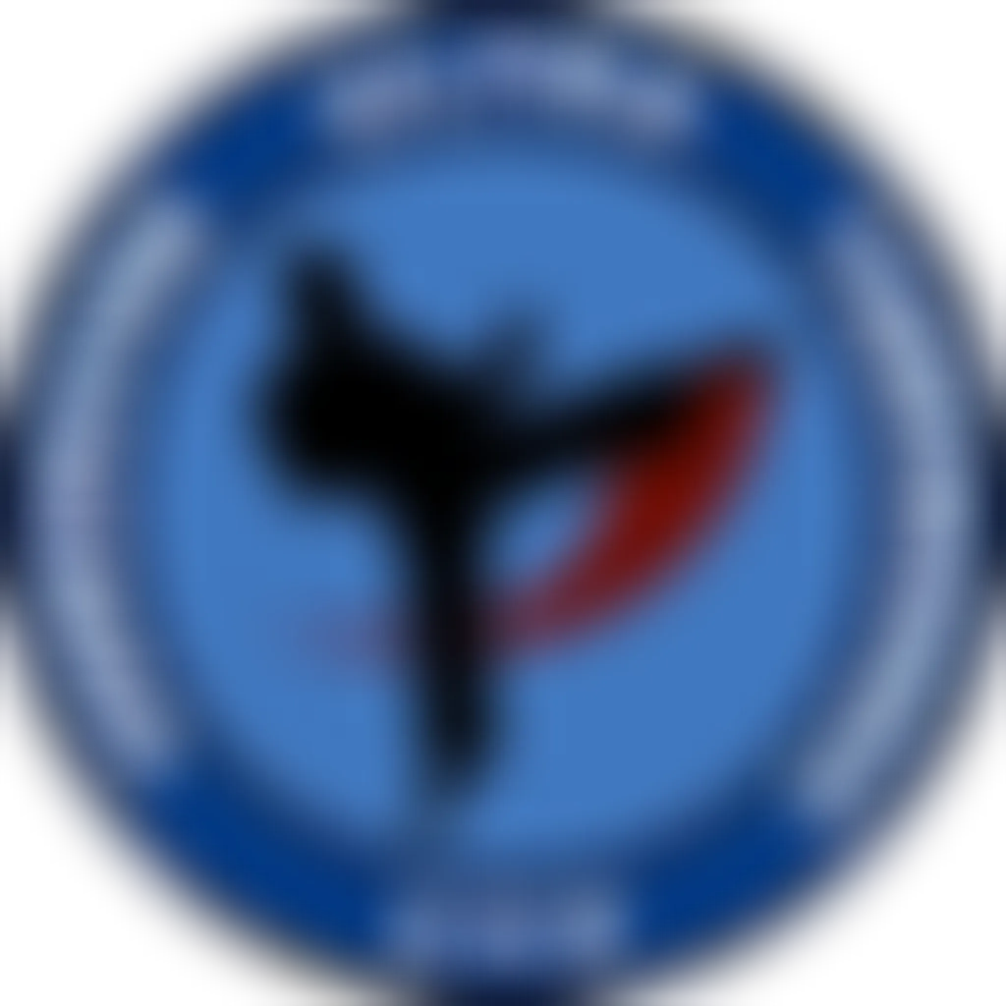 Canada Elite Spirit TKD Club-Scarborough