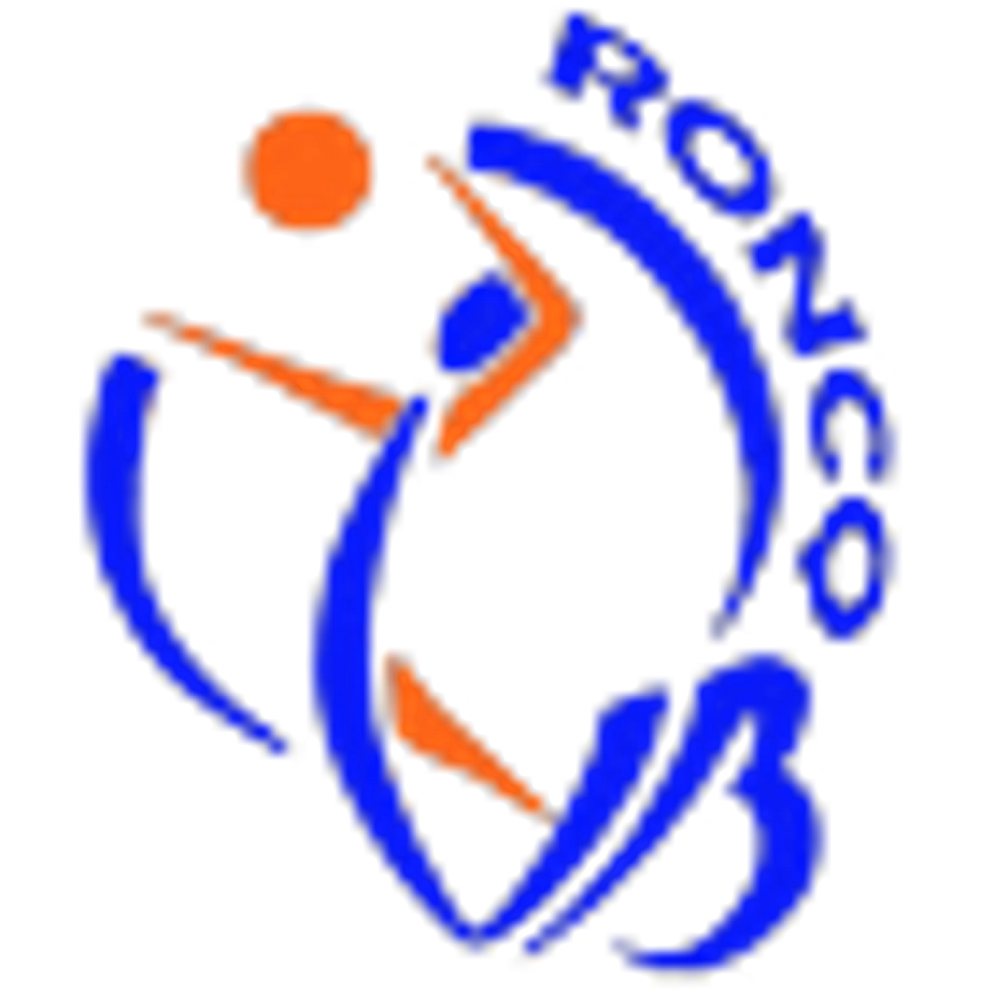 Volley Ball de Roncq