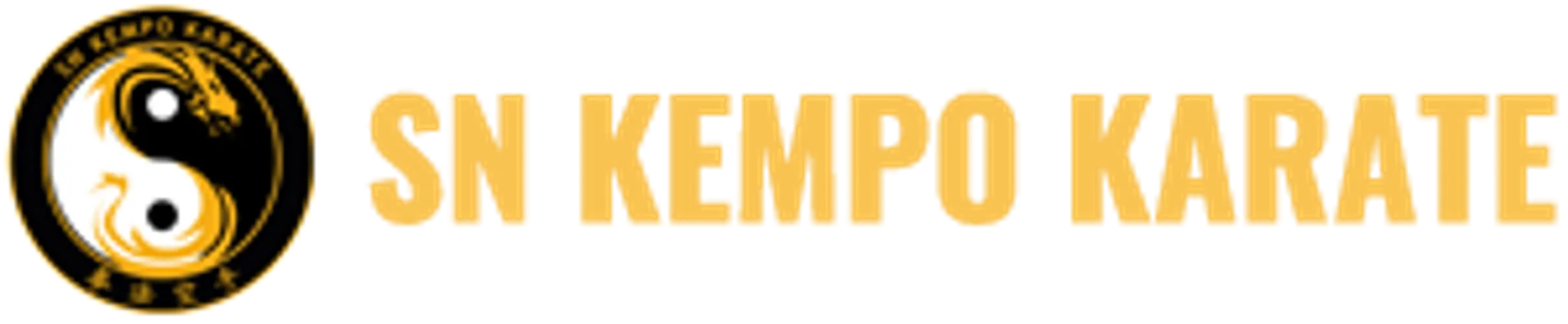 SN KEMPO KARATE