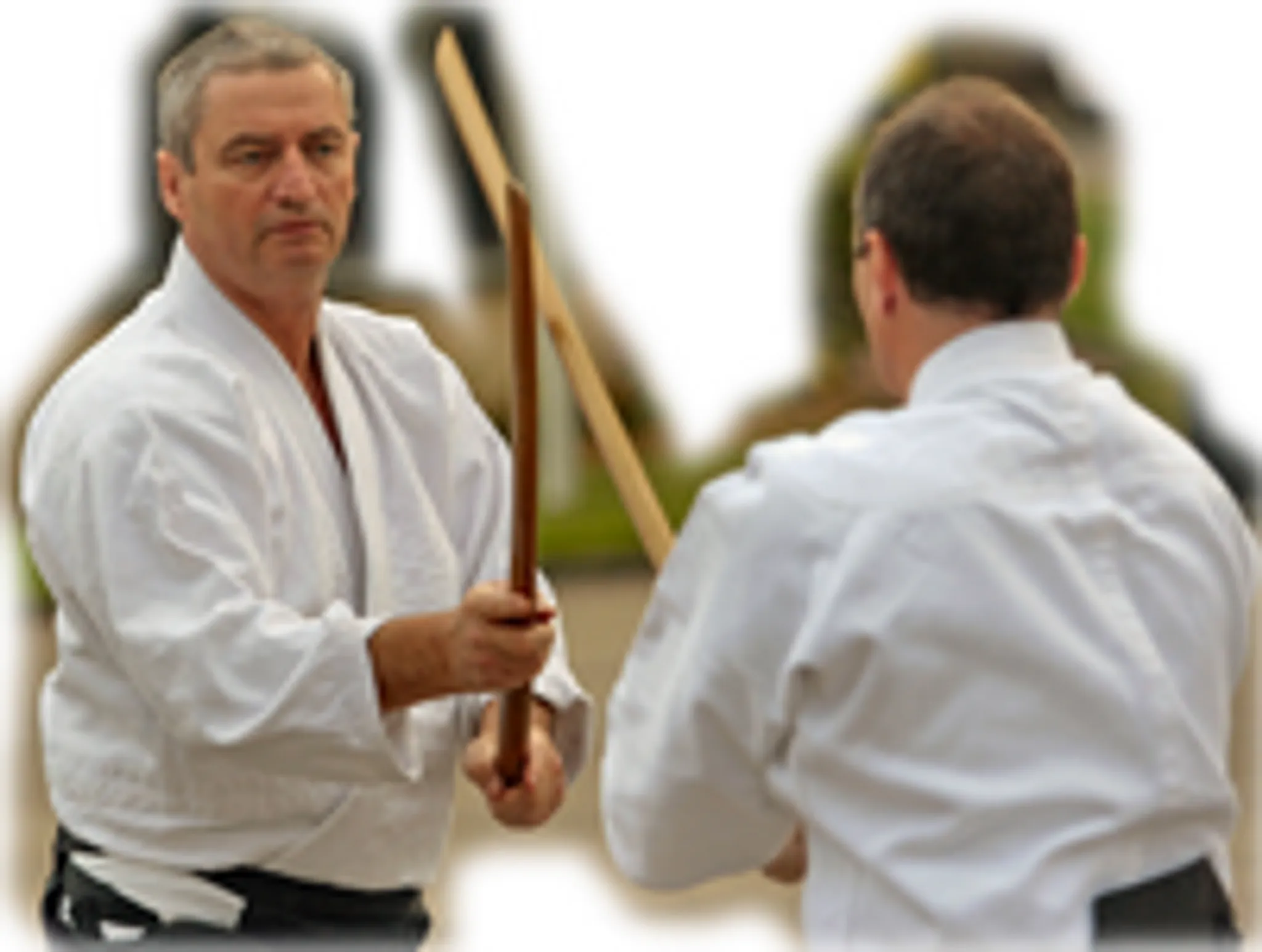 Aïkido-01 dojos de l'Ain (01)