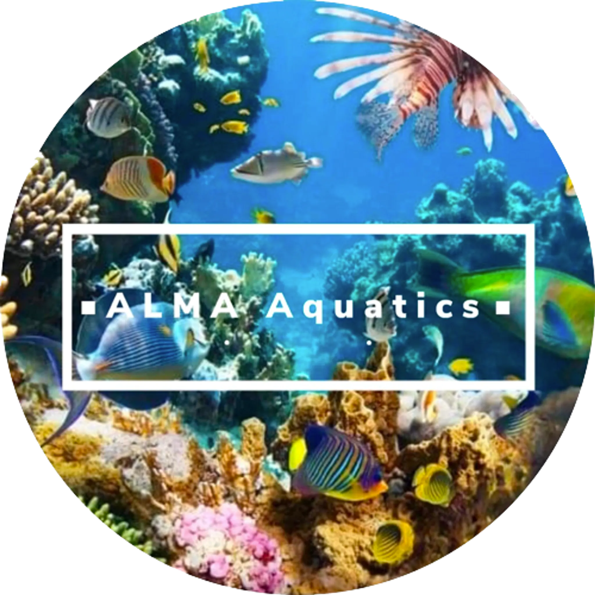 ALMA Aquatics Ltd