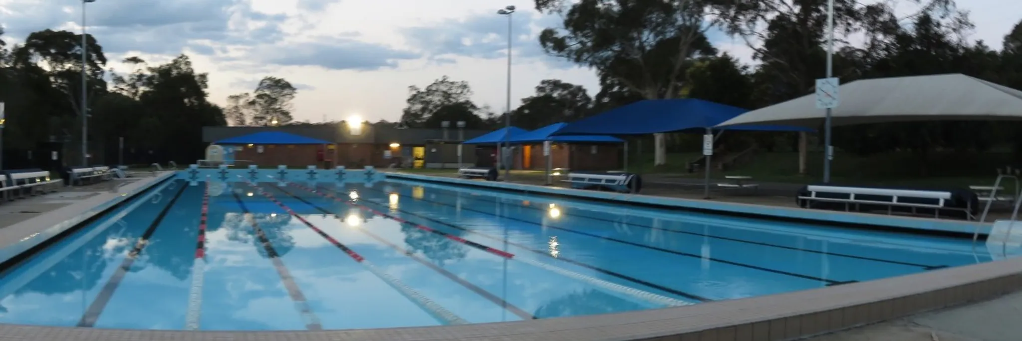 Lawson Amateur Swimming Club
