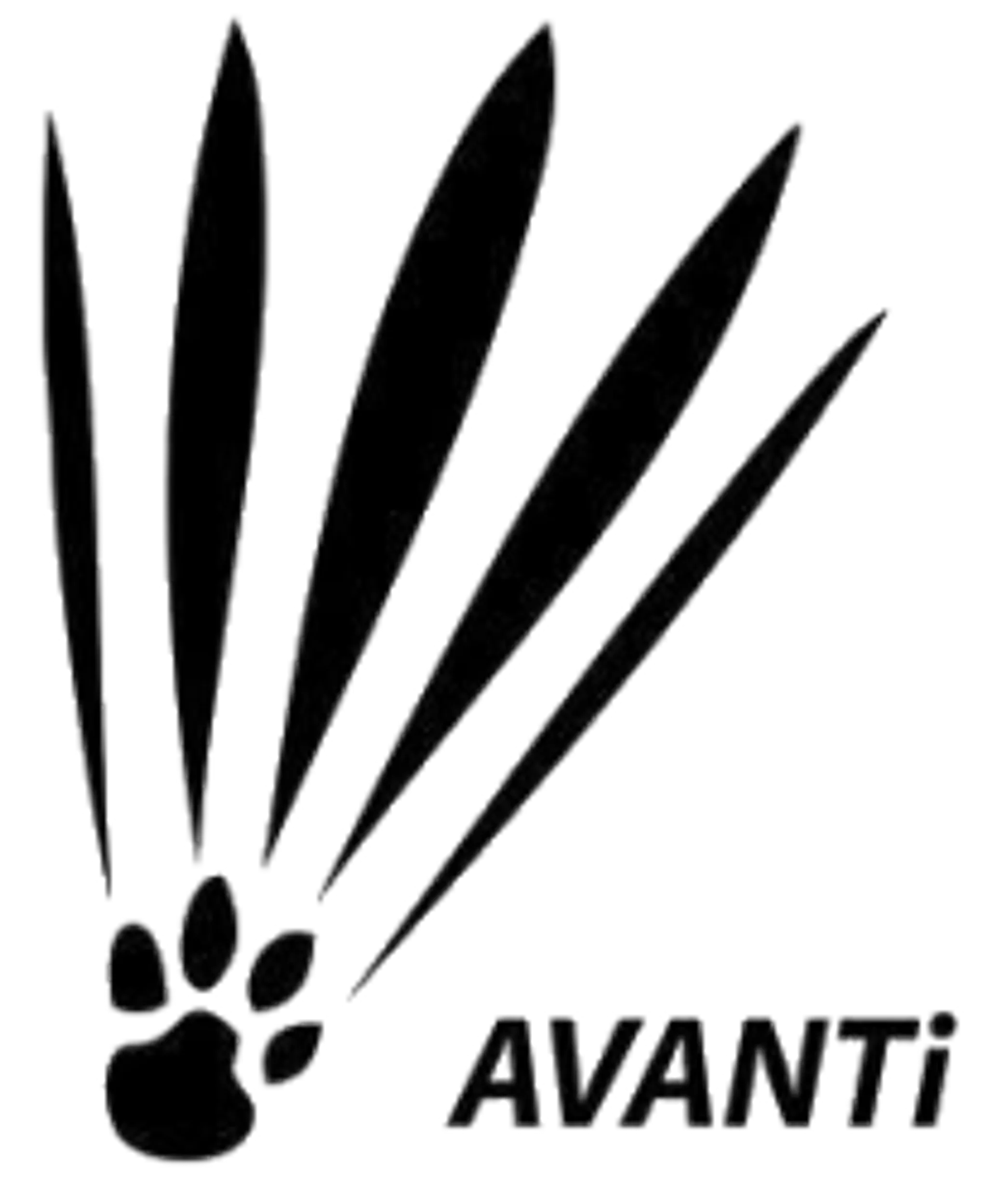 Avanti Badminton 13